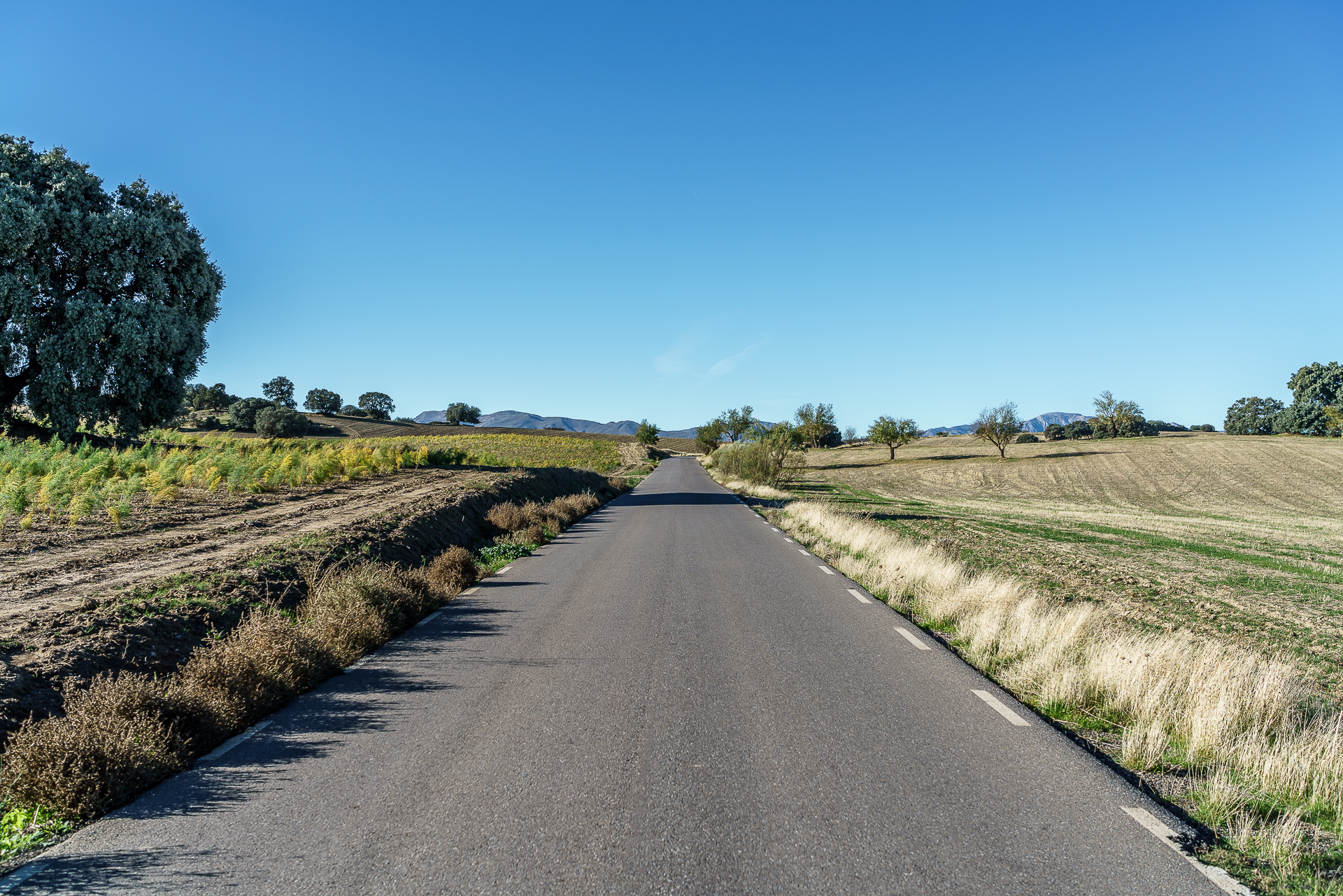 Andalusien Roadtrip
