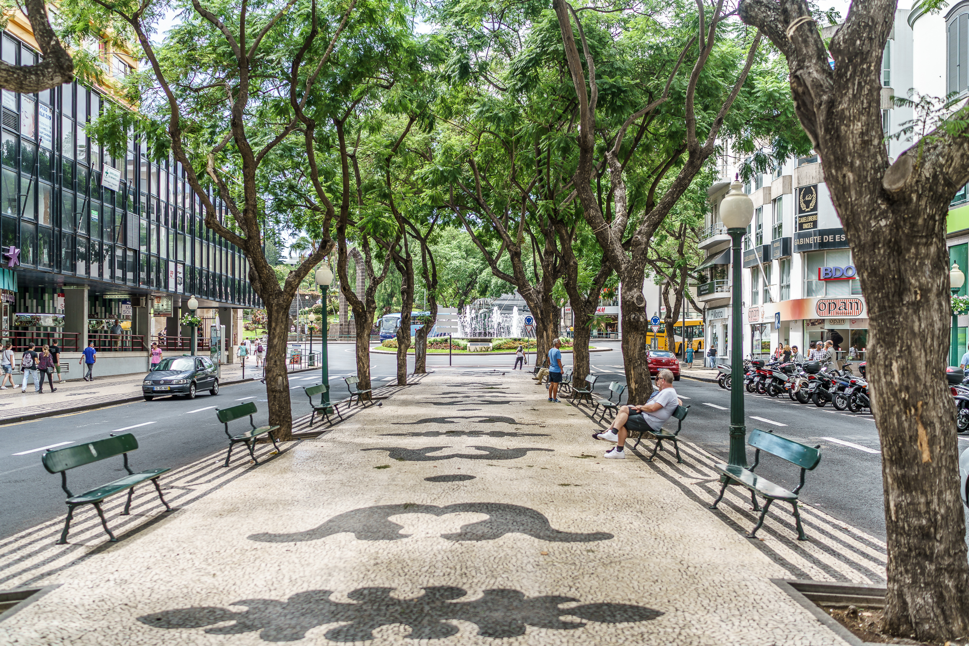 Avenida-Arriaga-Funchal