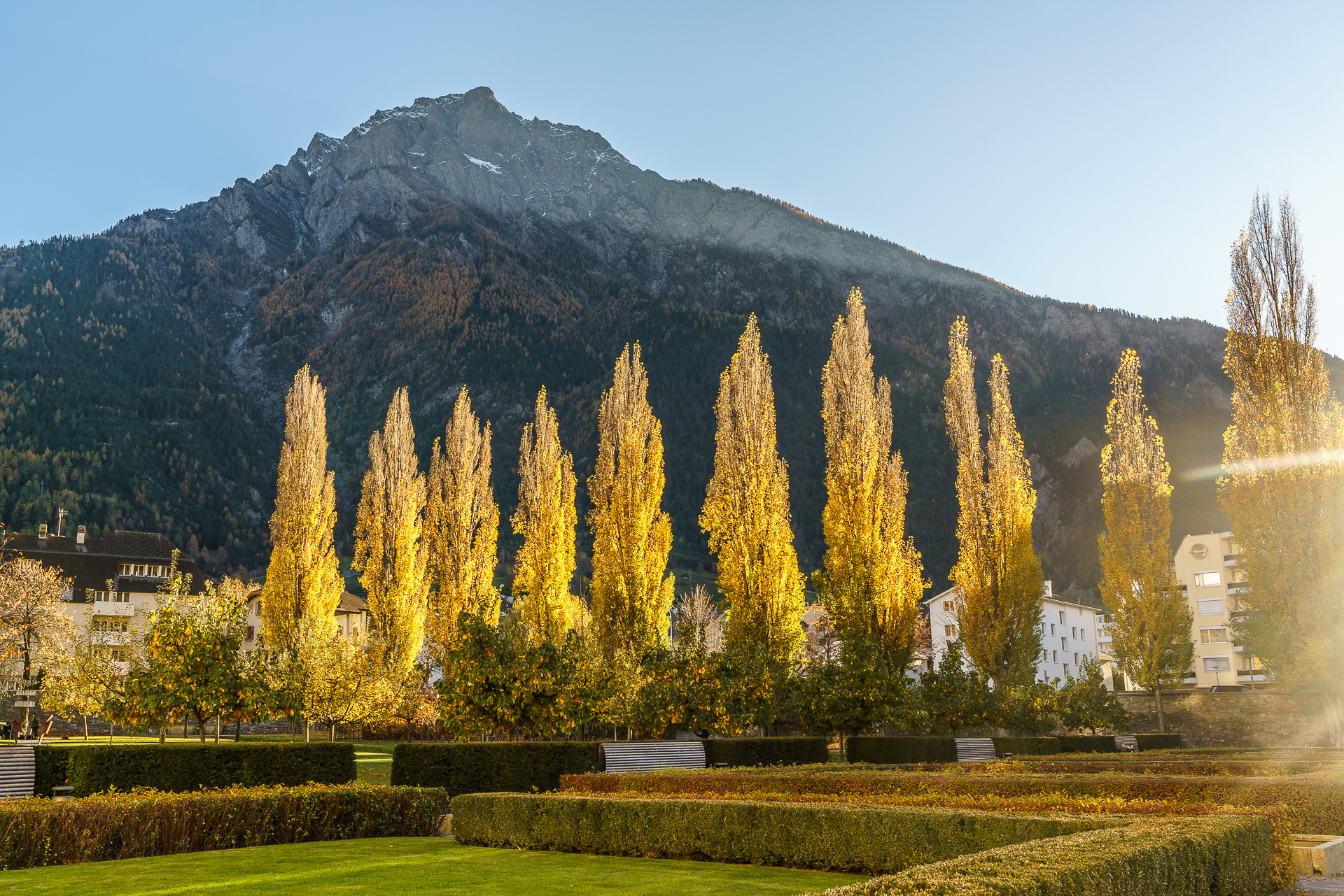 Brig-Wallis-Herbst