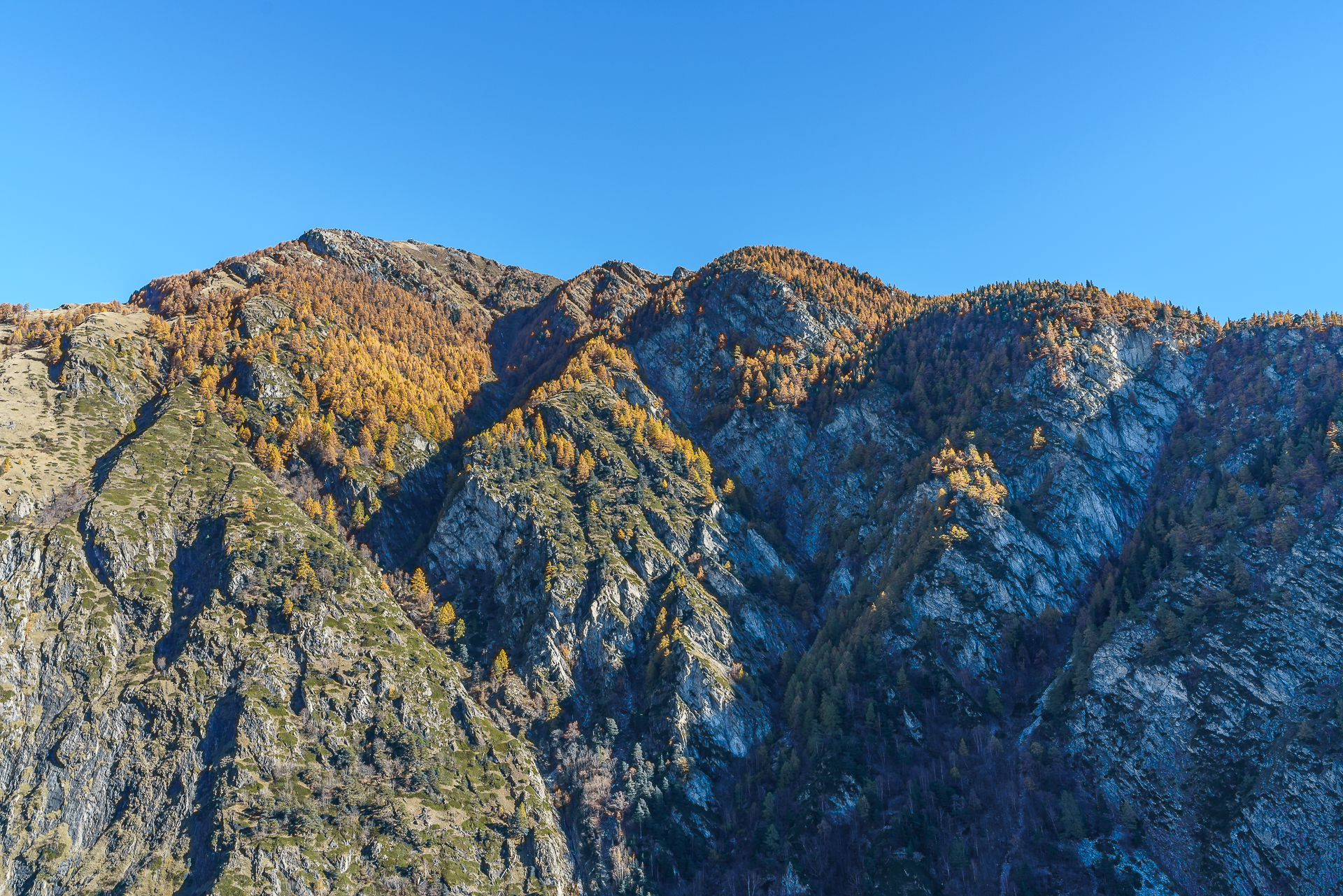 Herbst-Wallis