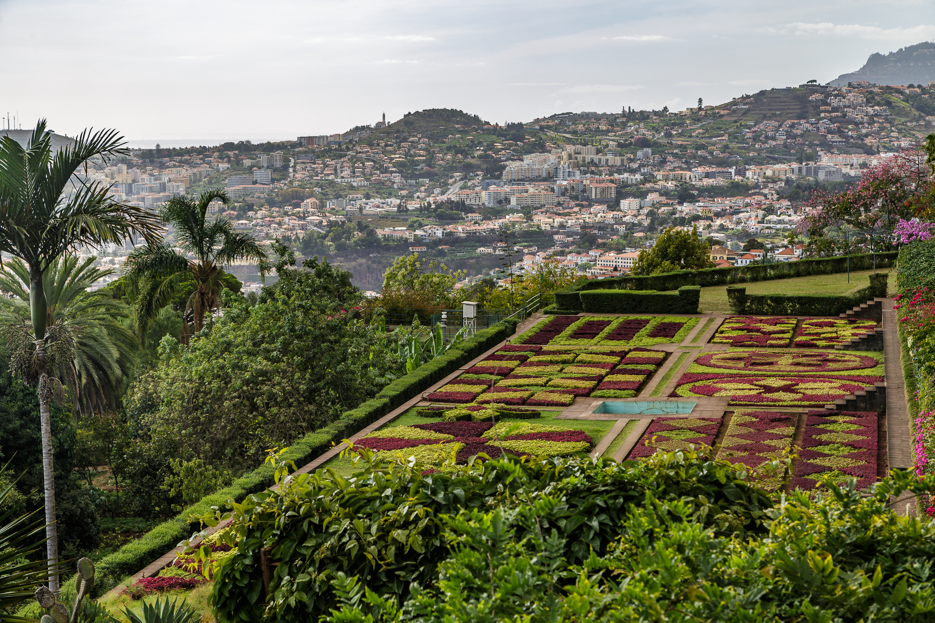 Jardim-Botanico-Funchal-1