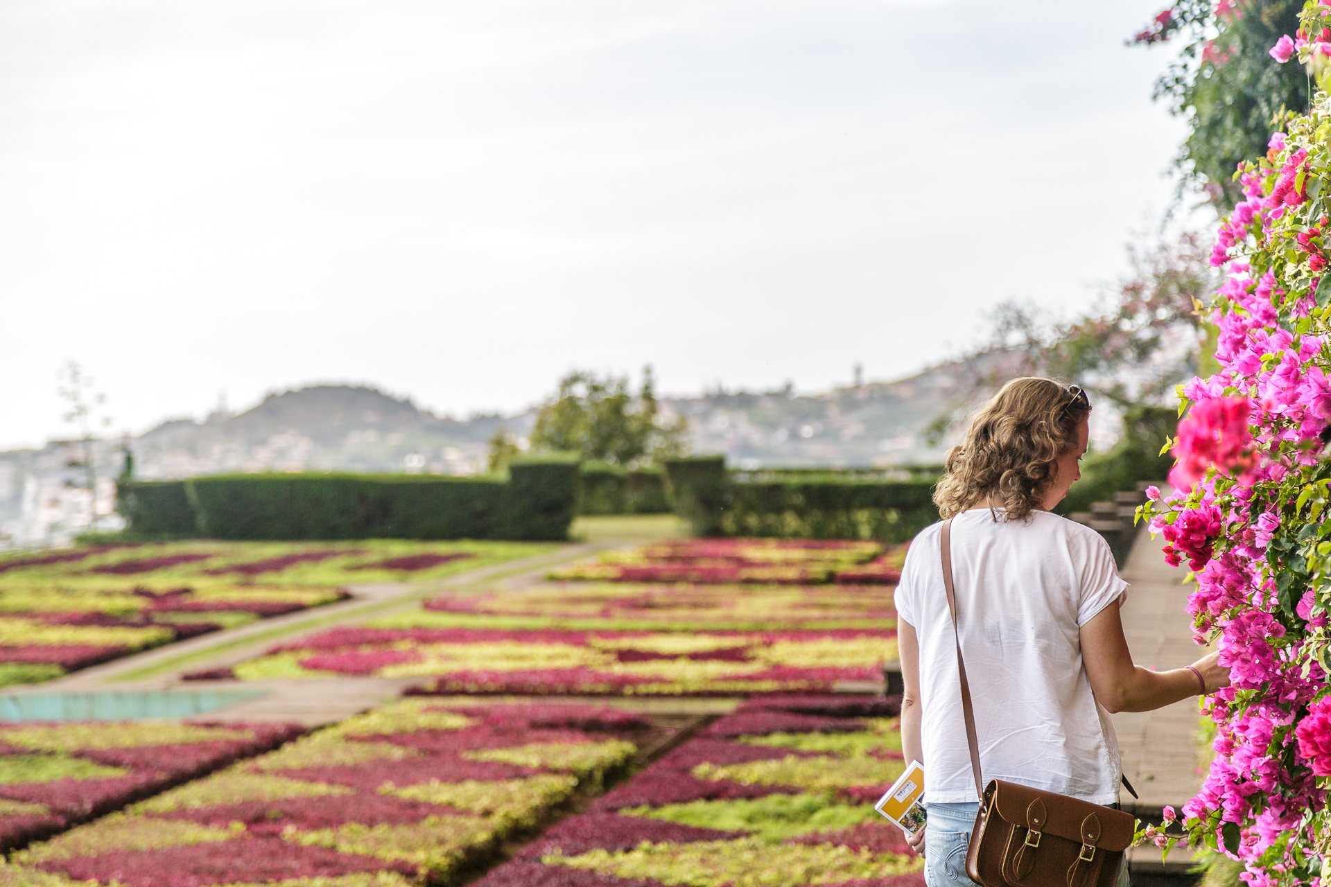 Jardim-Botanico-Funchal-4