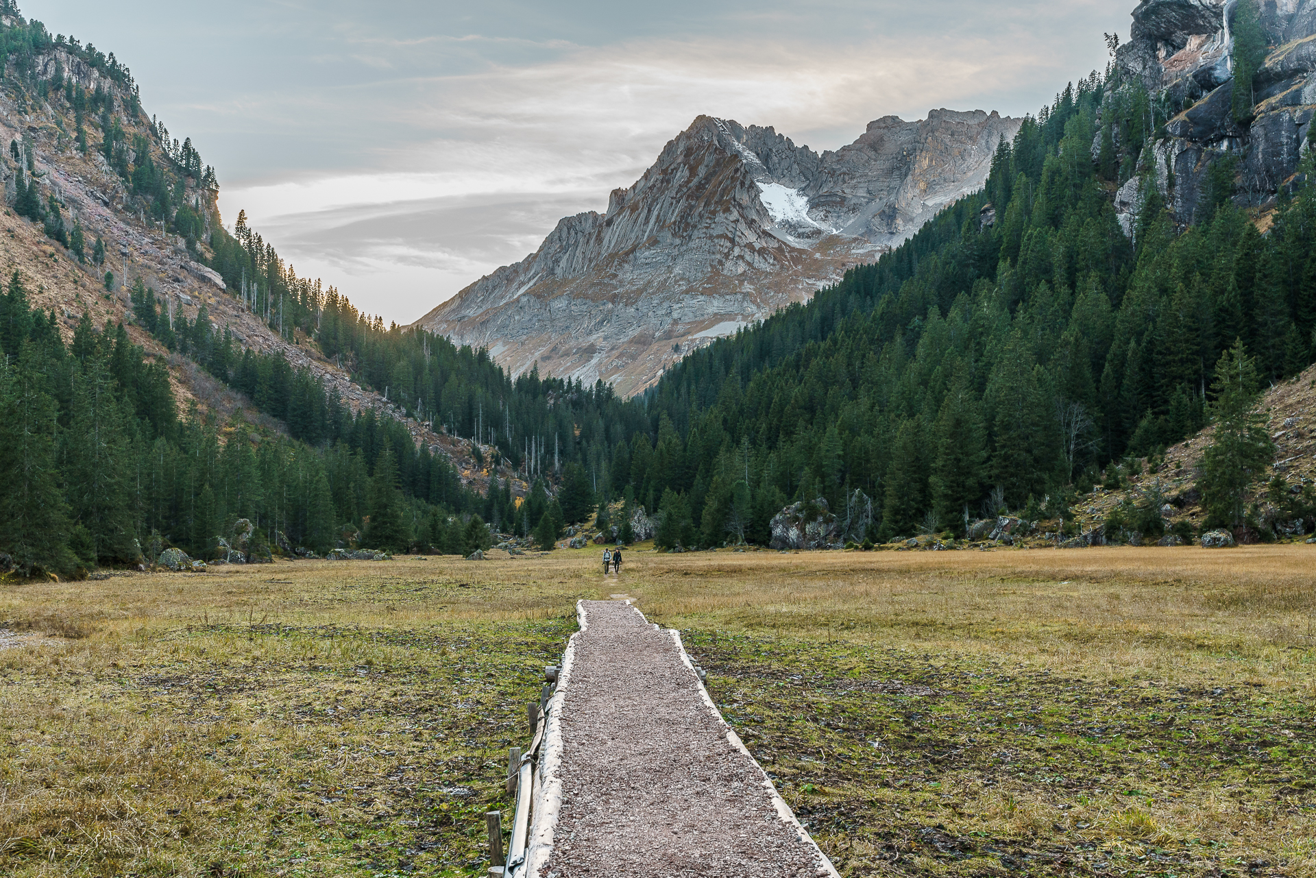 Muertschental-Ruchen