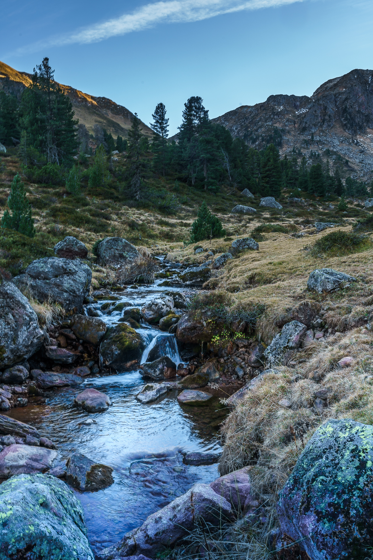 Muertschental