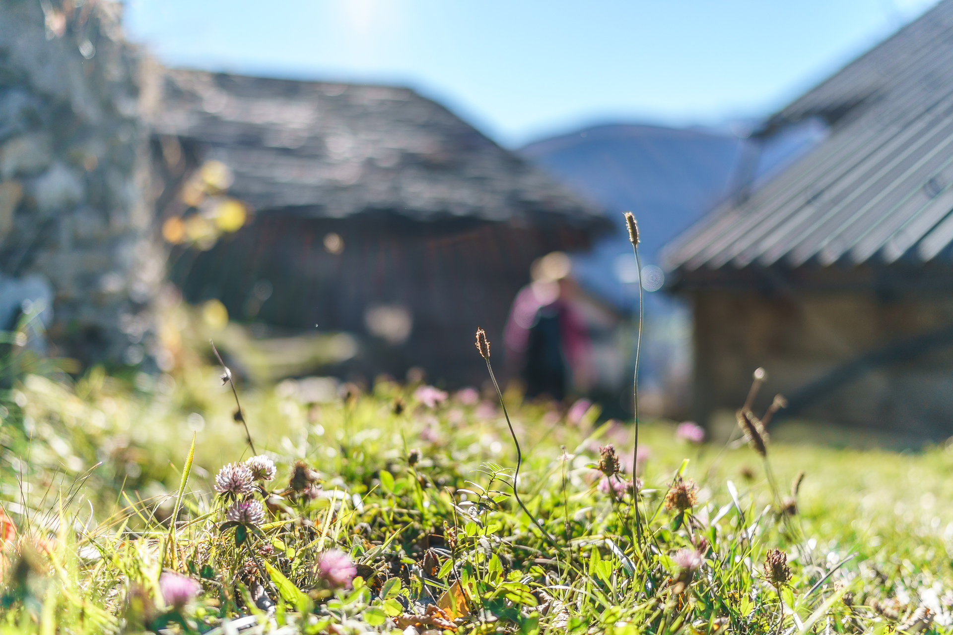 Wallis-Natur