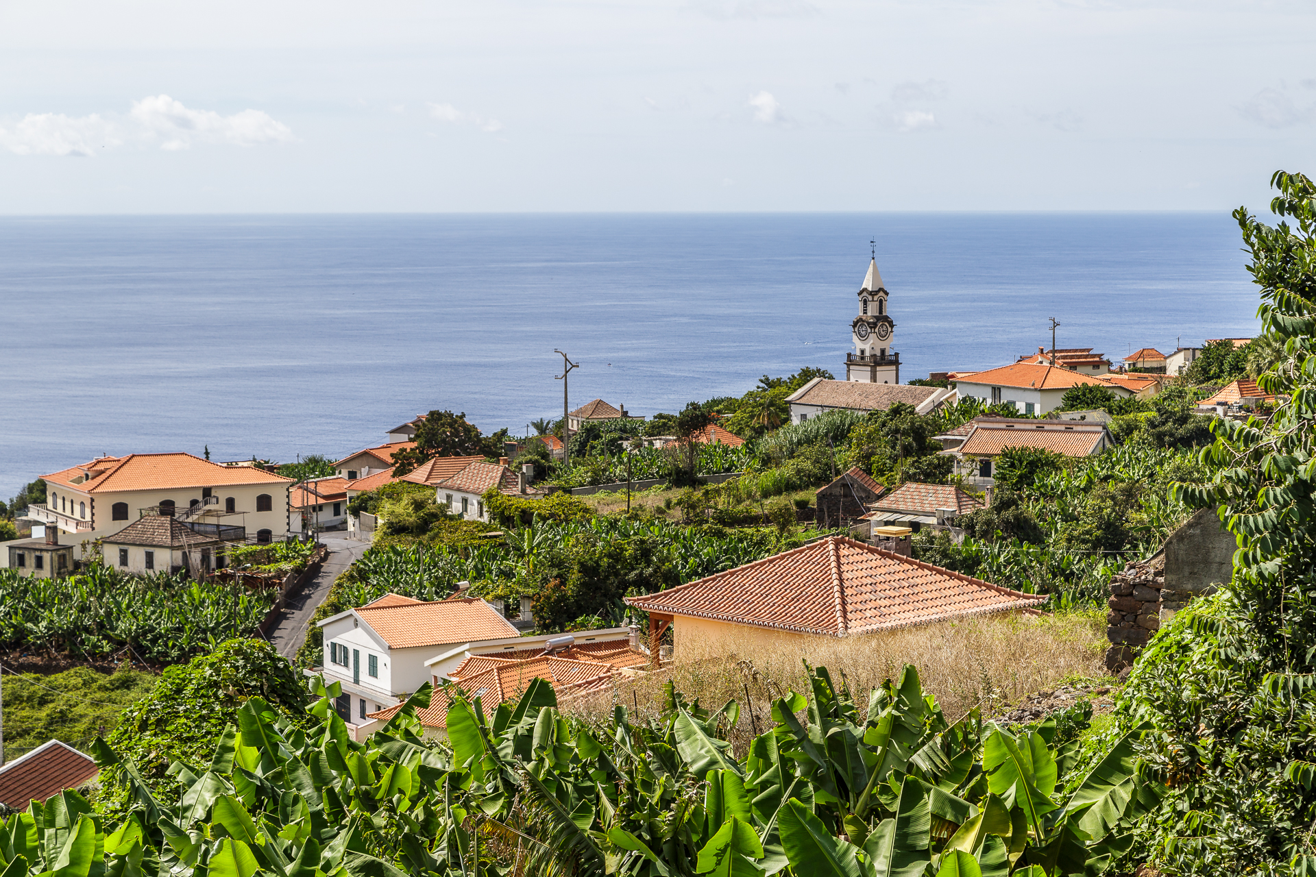 madeira-322
