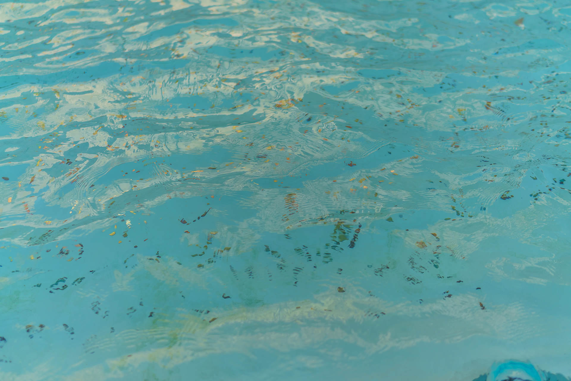 Fontana-di-Trevi