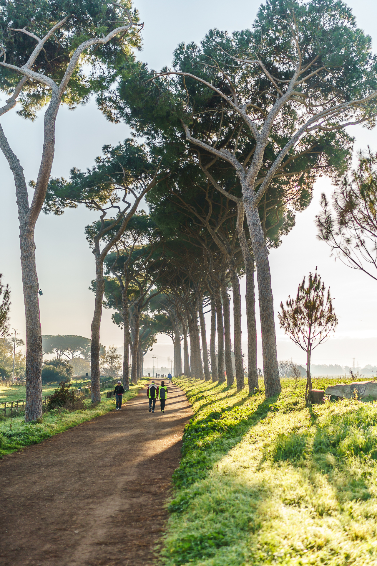 Parco-degli-acquedotti