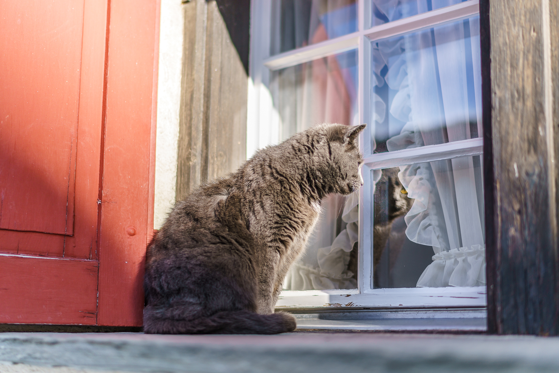 Katze-Vals-Graubuenden