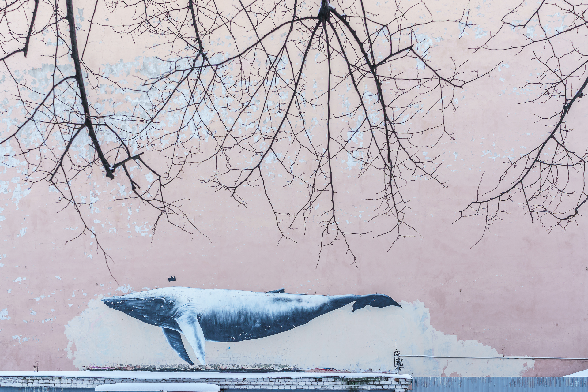 Street-Art-Wal-Sankt-Petersburg