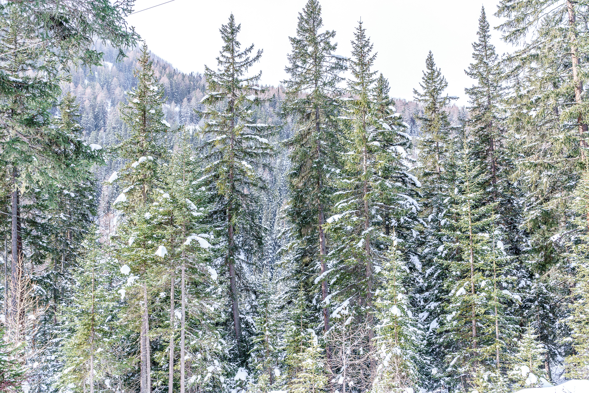 Val-Sinestra-Landschaft