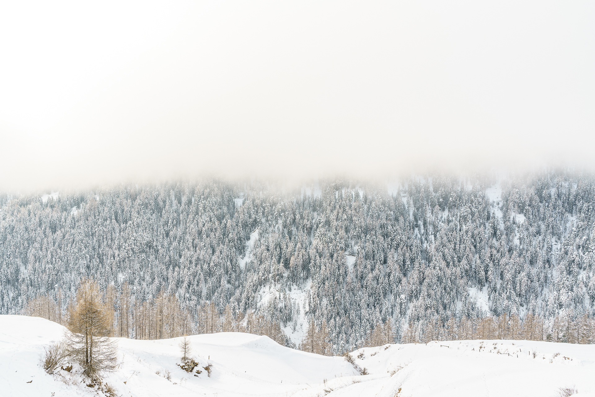 Val-Sinestra-Winter