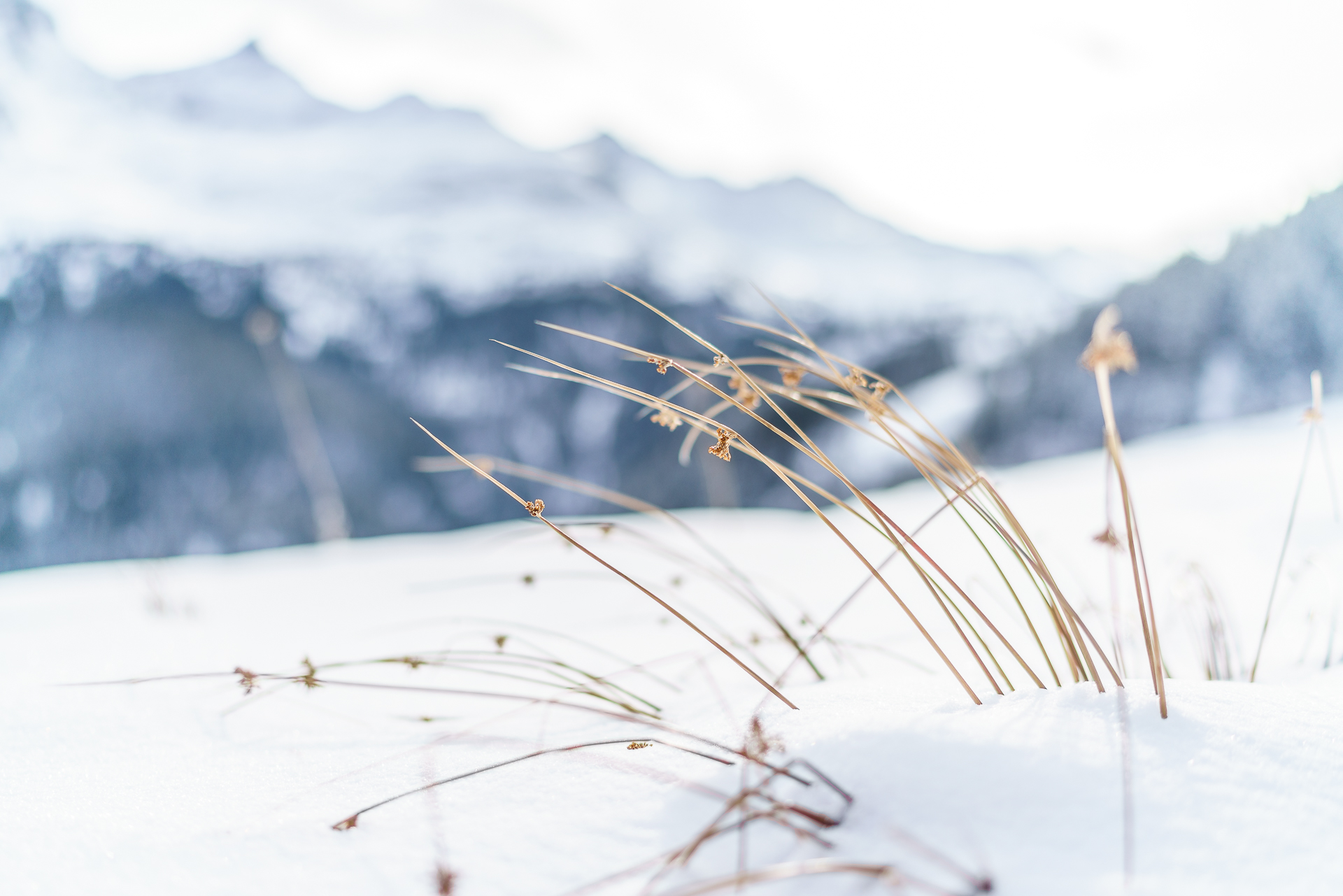 Vals-Winter