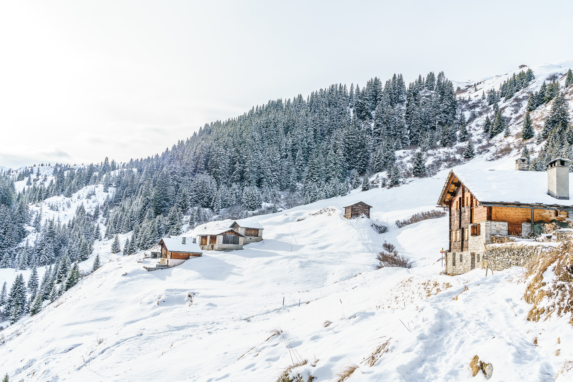 Vals-Winterwandern-Gadastatt-Leis-2