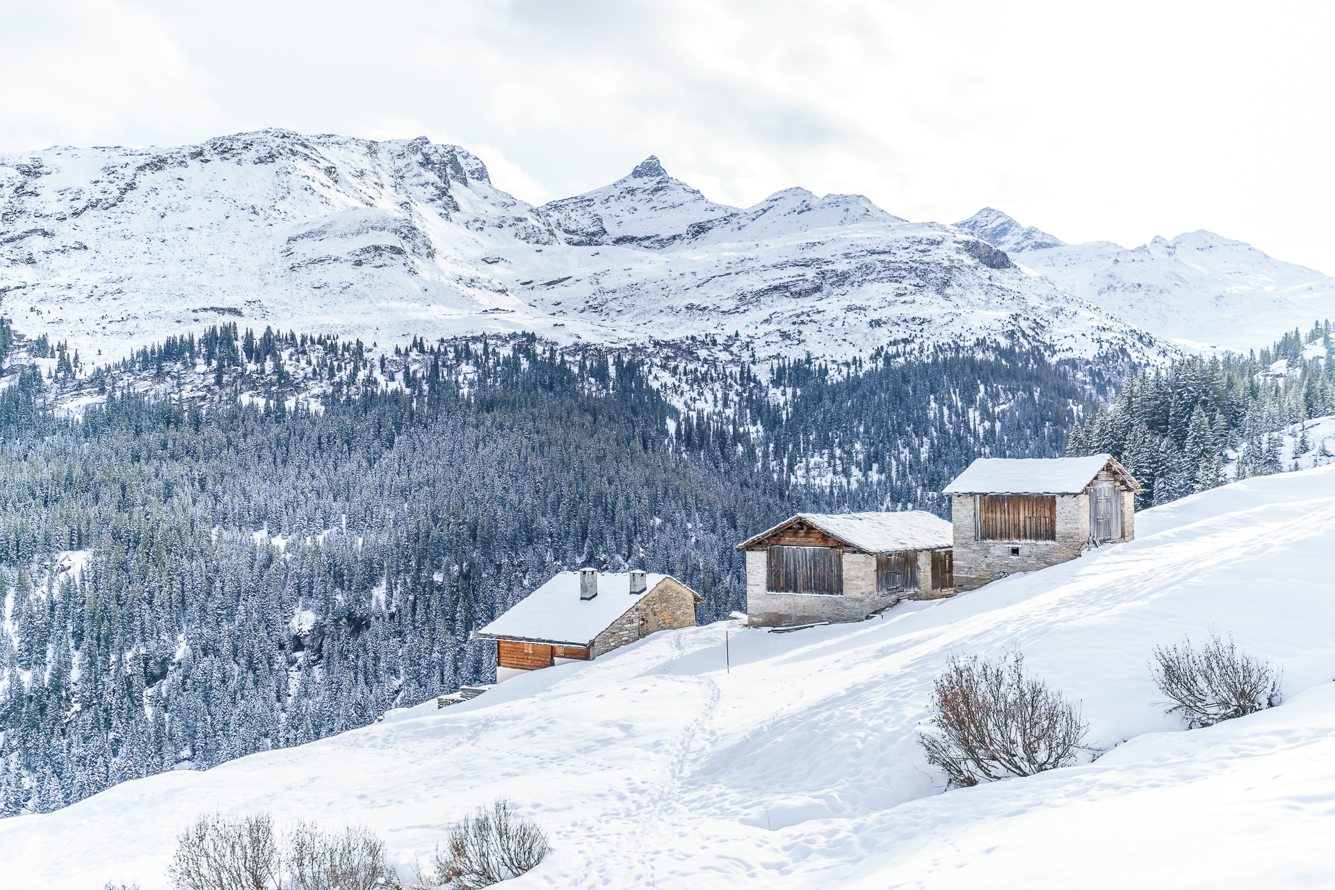 Vals-Winterwandern