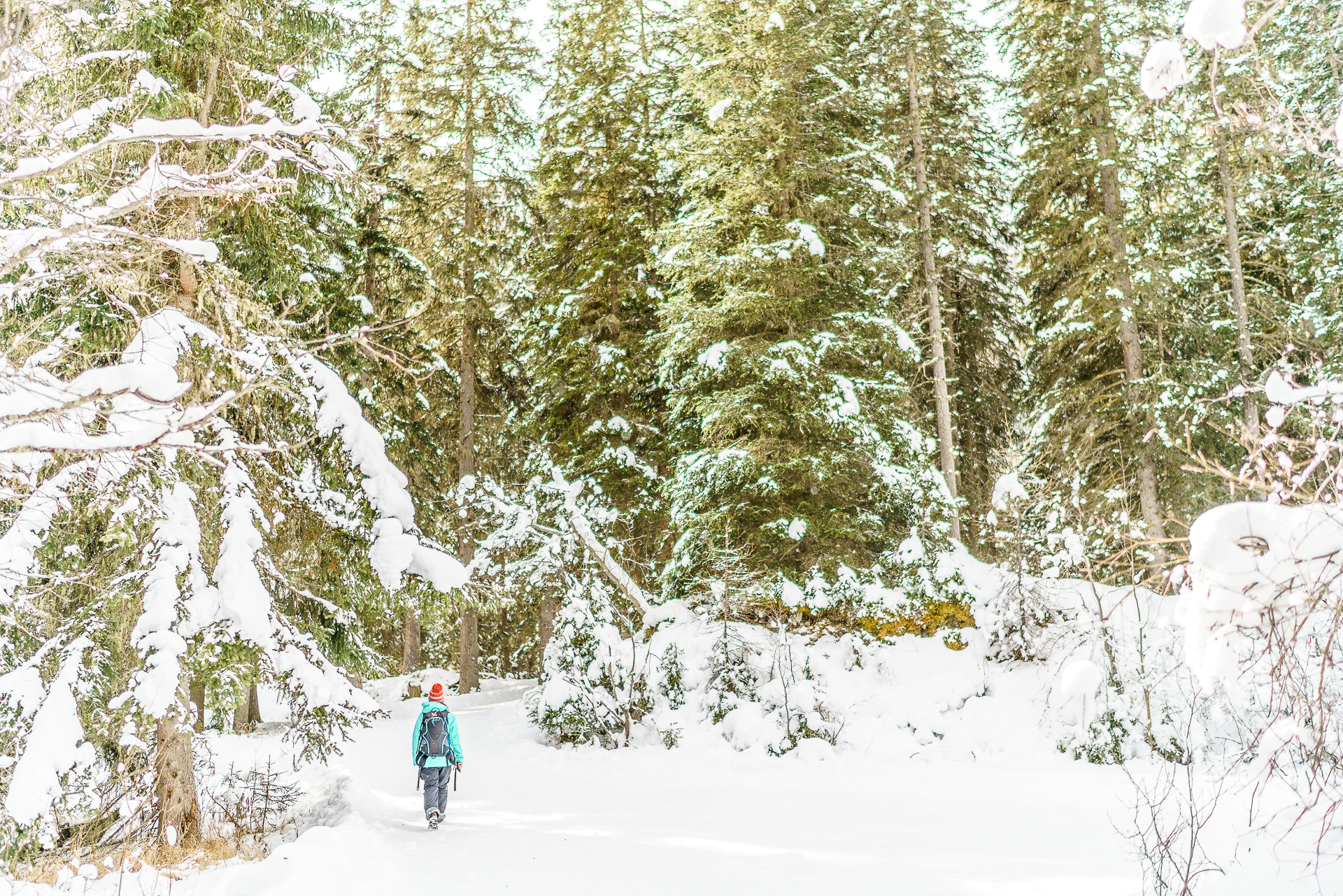 Winterwandern-Val-Sinestra