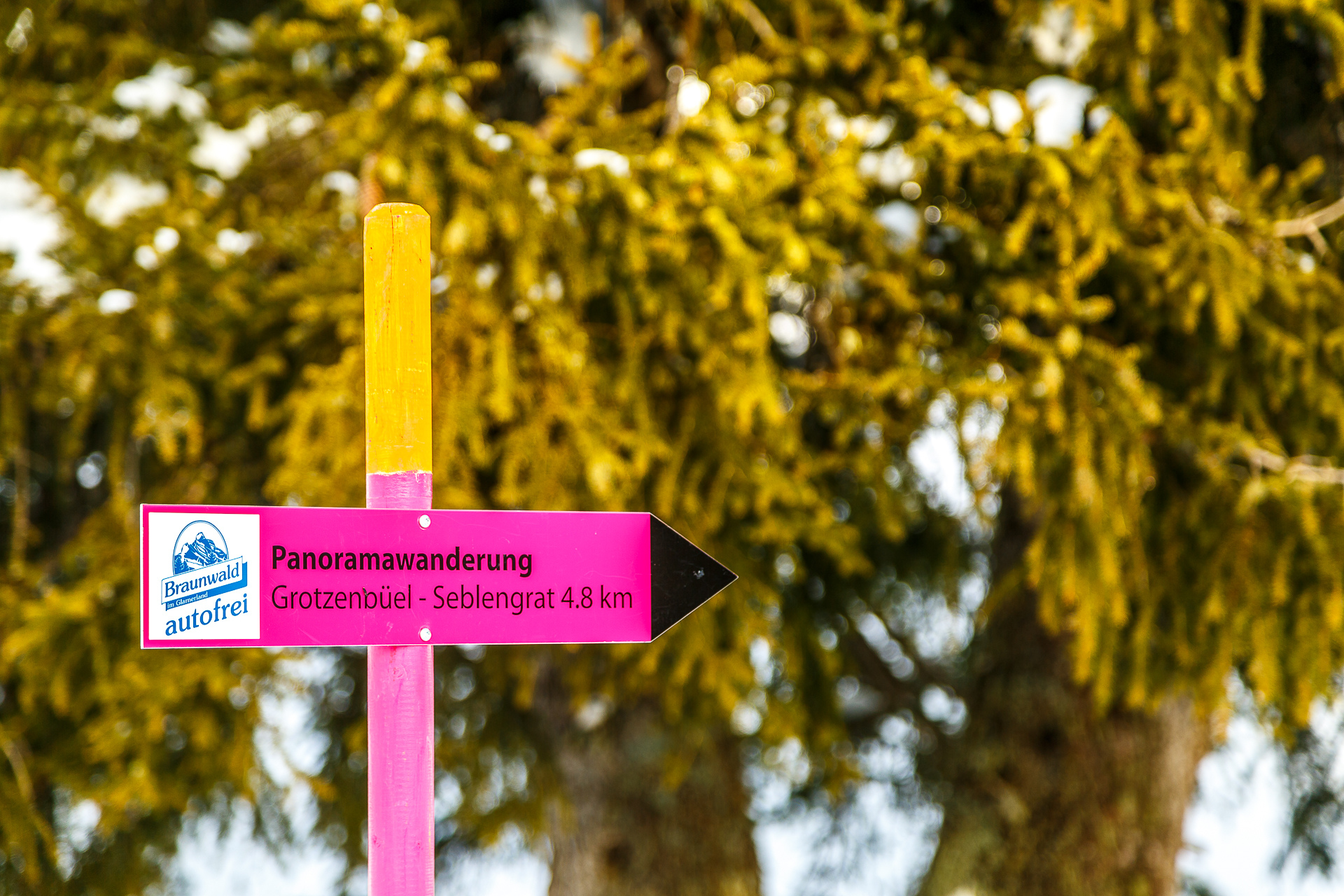 Panoramawanderung-Grotzenbuehl-Seblengrat