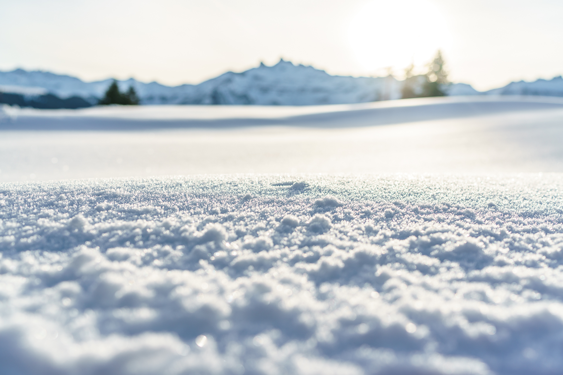 Schneekristalle-Winter