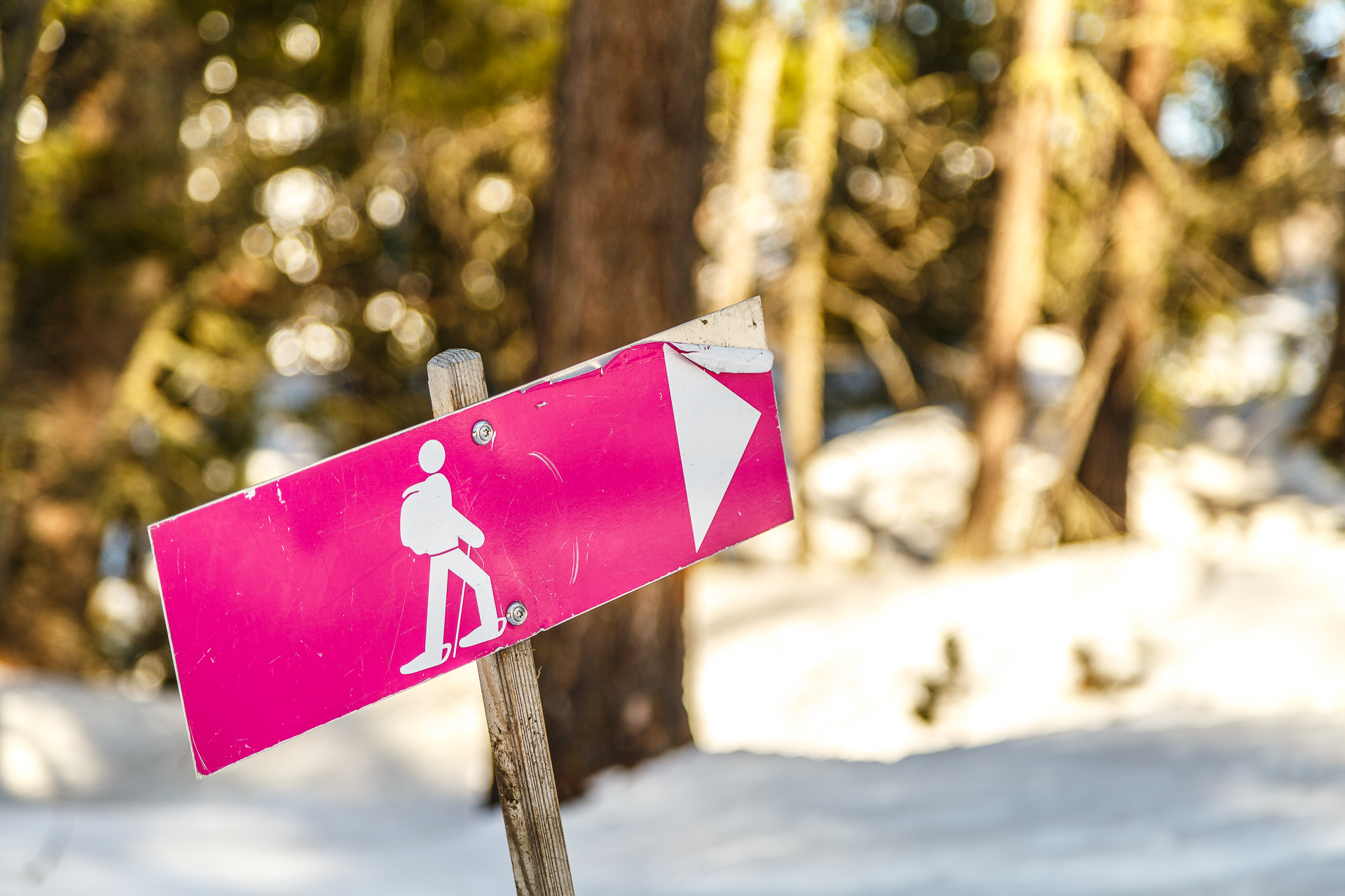 Schneeschuhwandern-Signalisation
