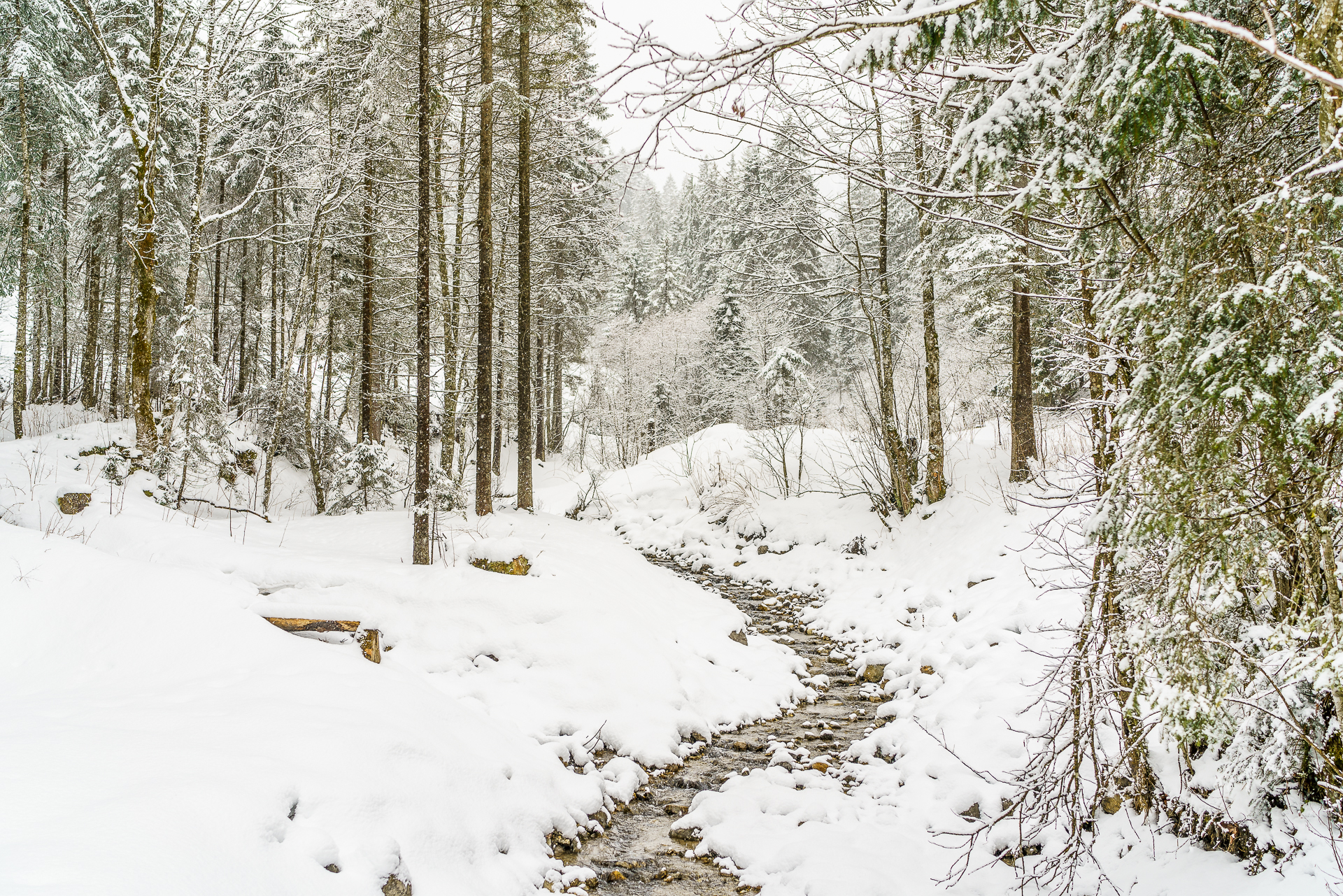 WInterlandschaft-Schweiz
