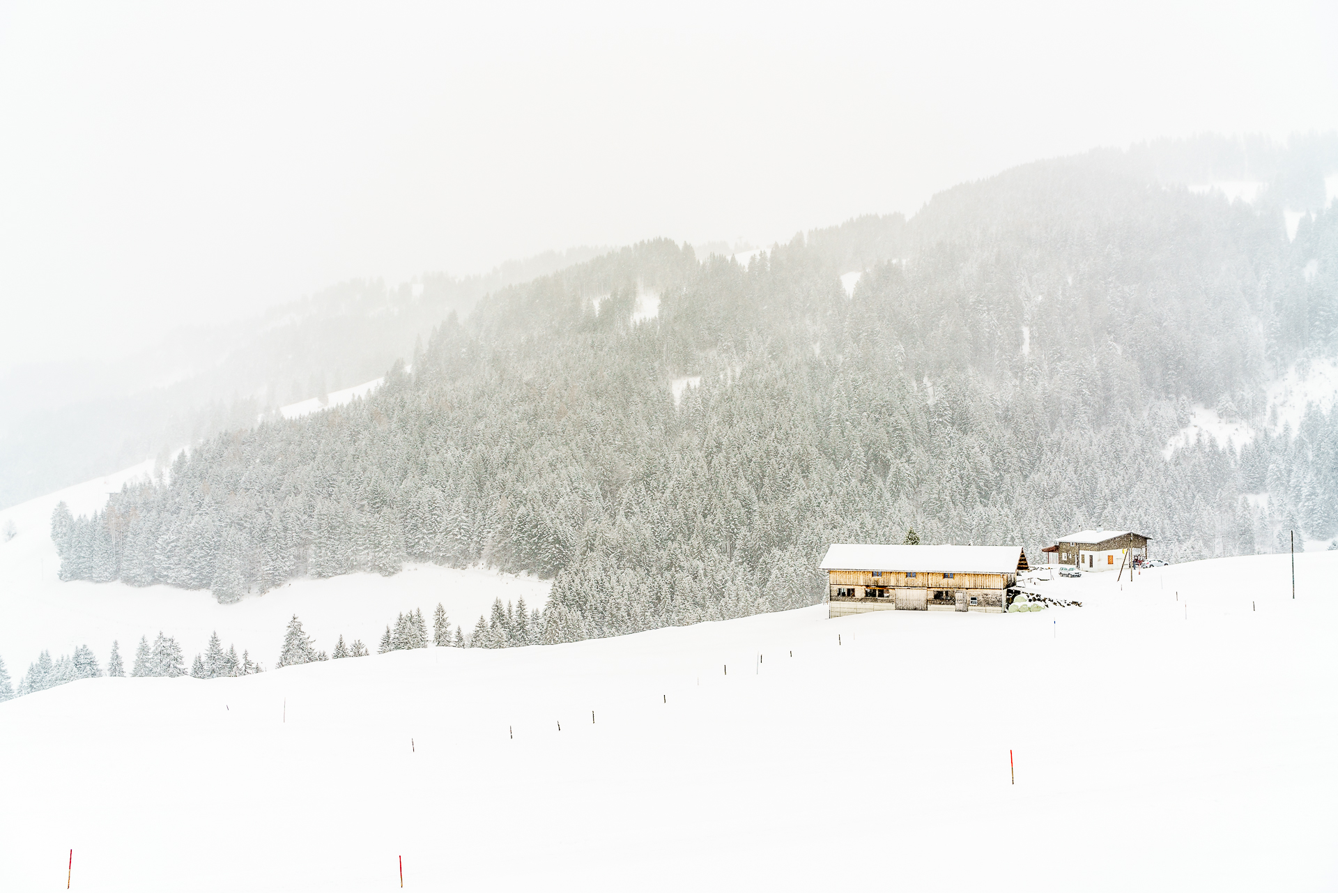 Wirzweli-Winterwanderung
