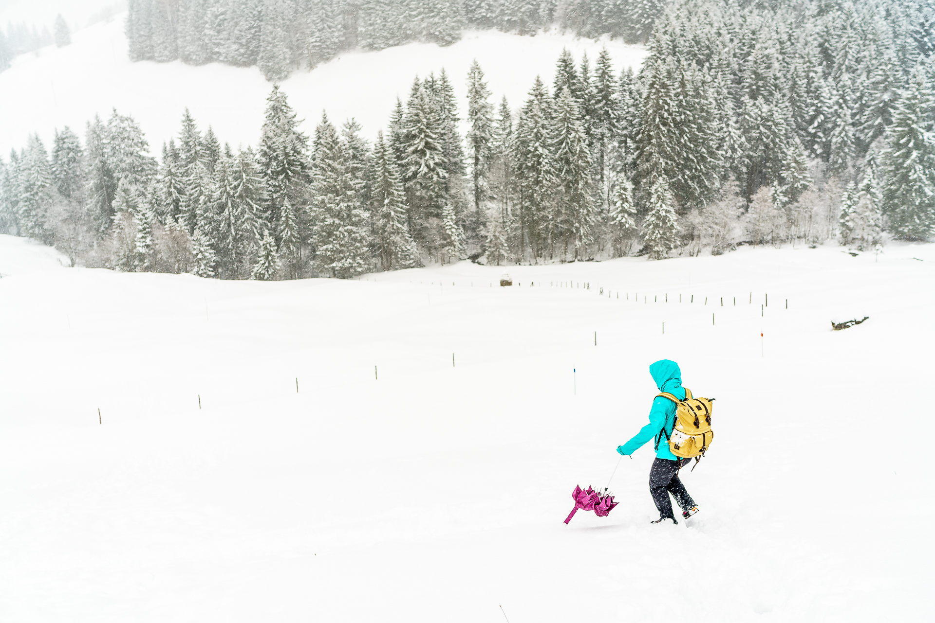 im-Neuschnee-winterwandern