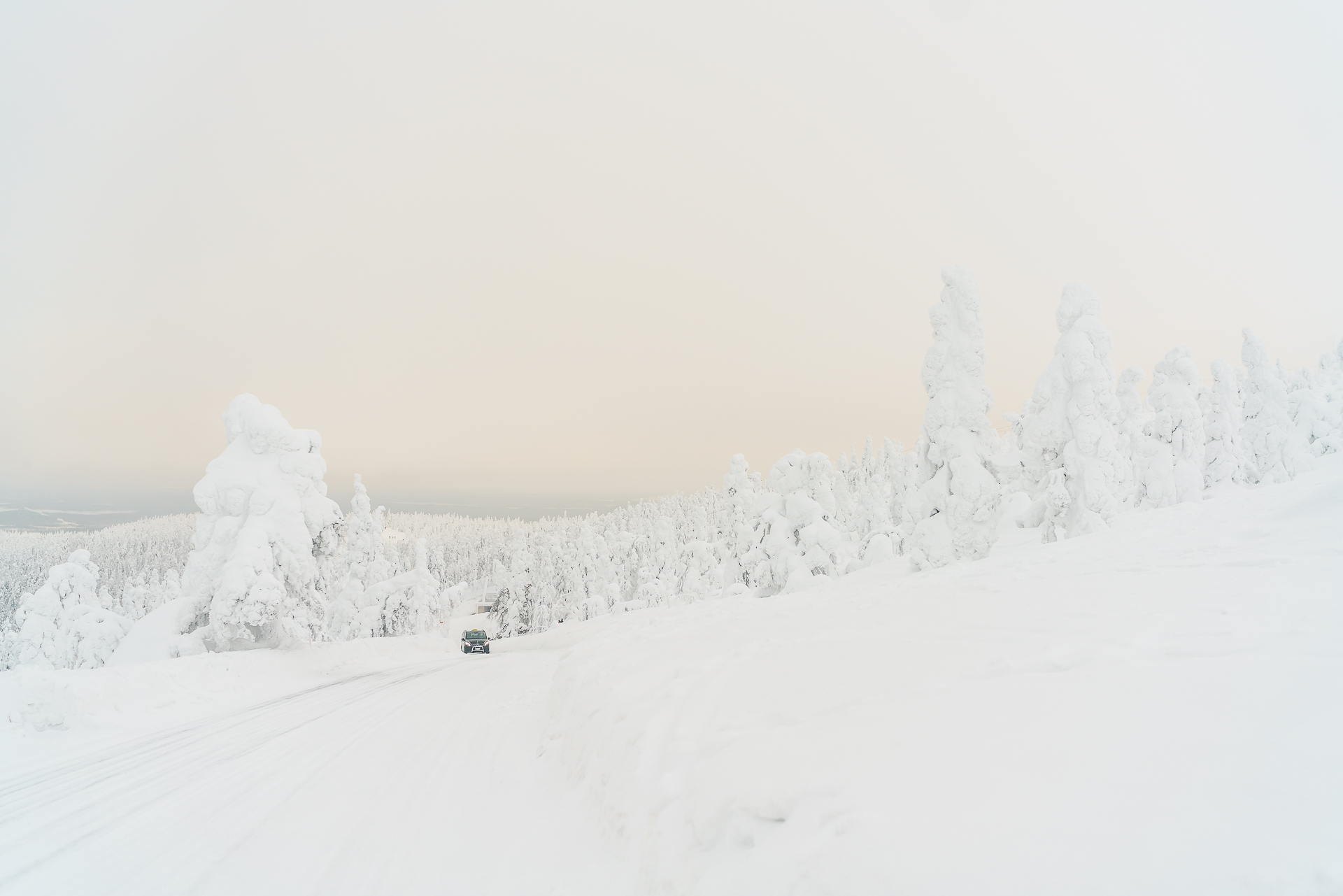 Levi-Winter