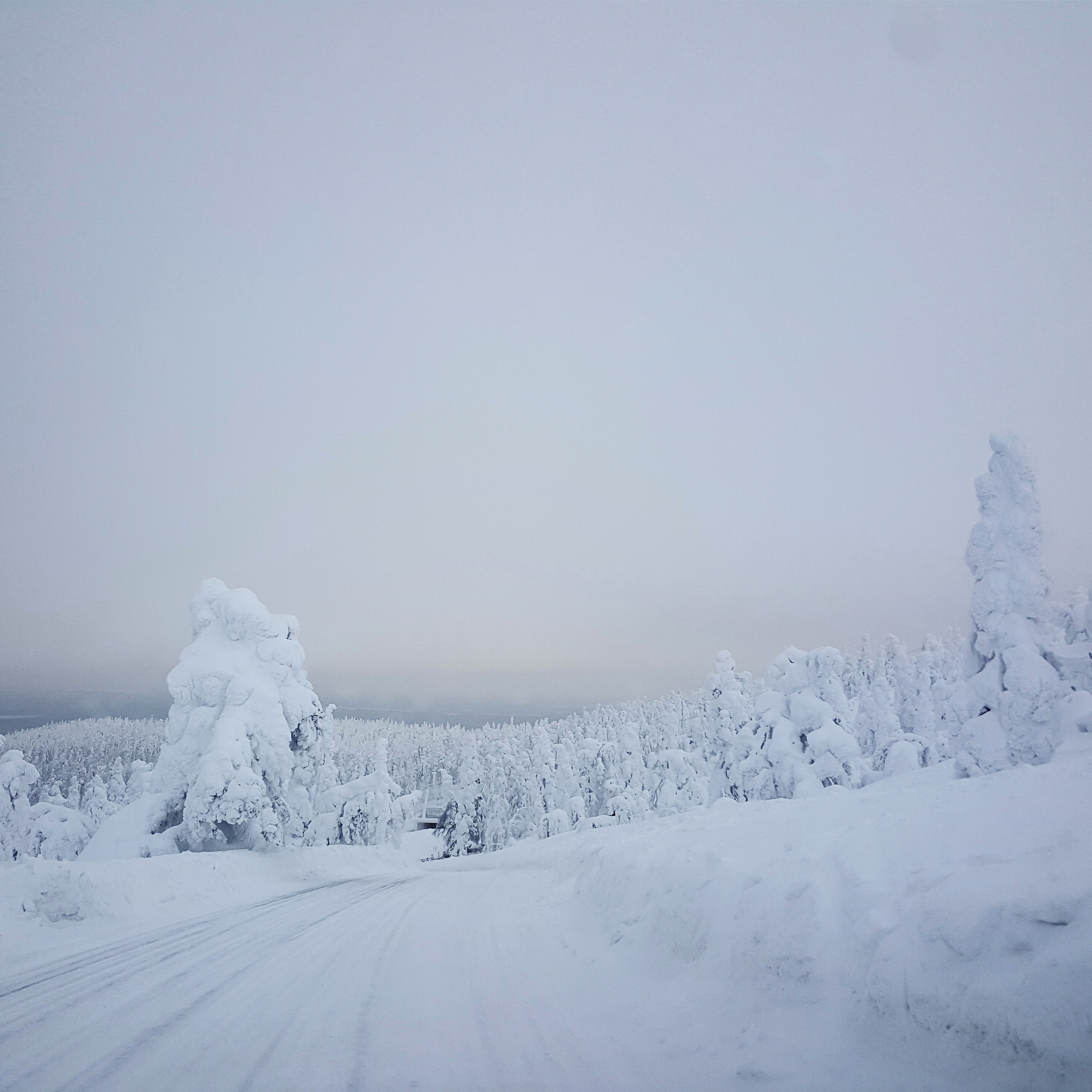 Levi-Winter