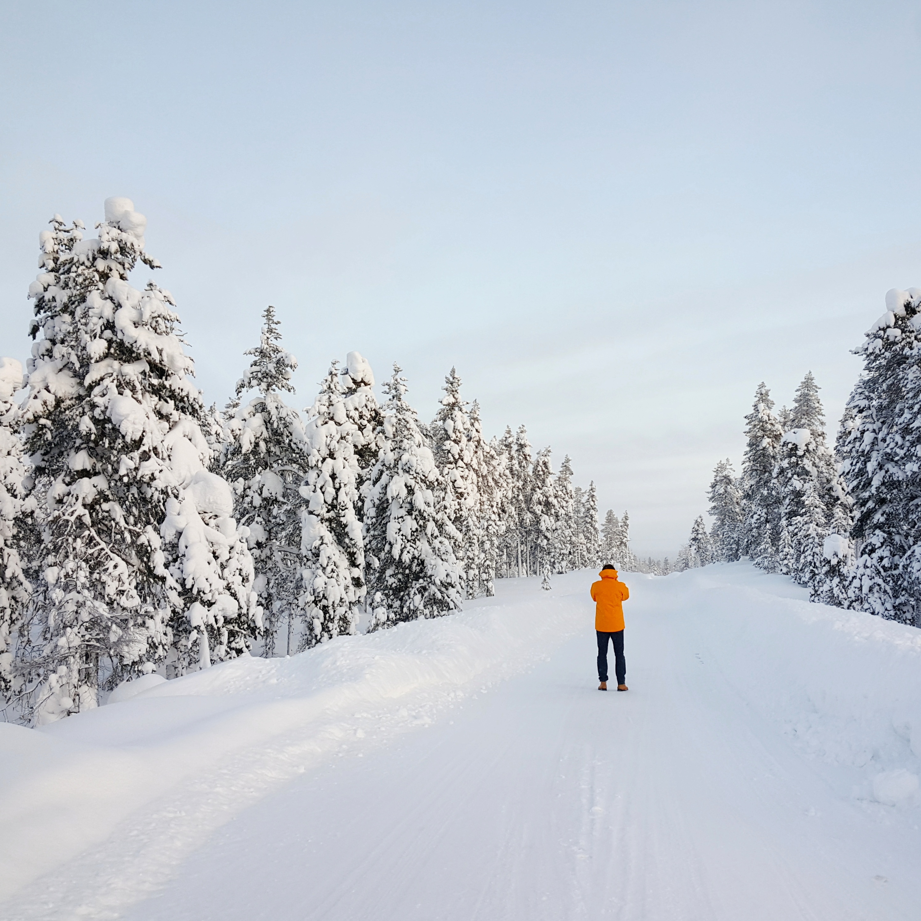 Roads-of-Lapland