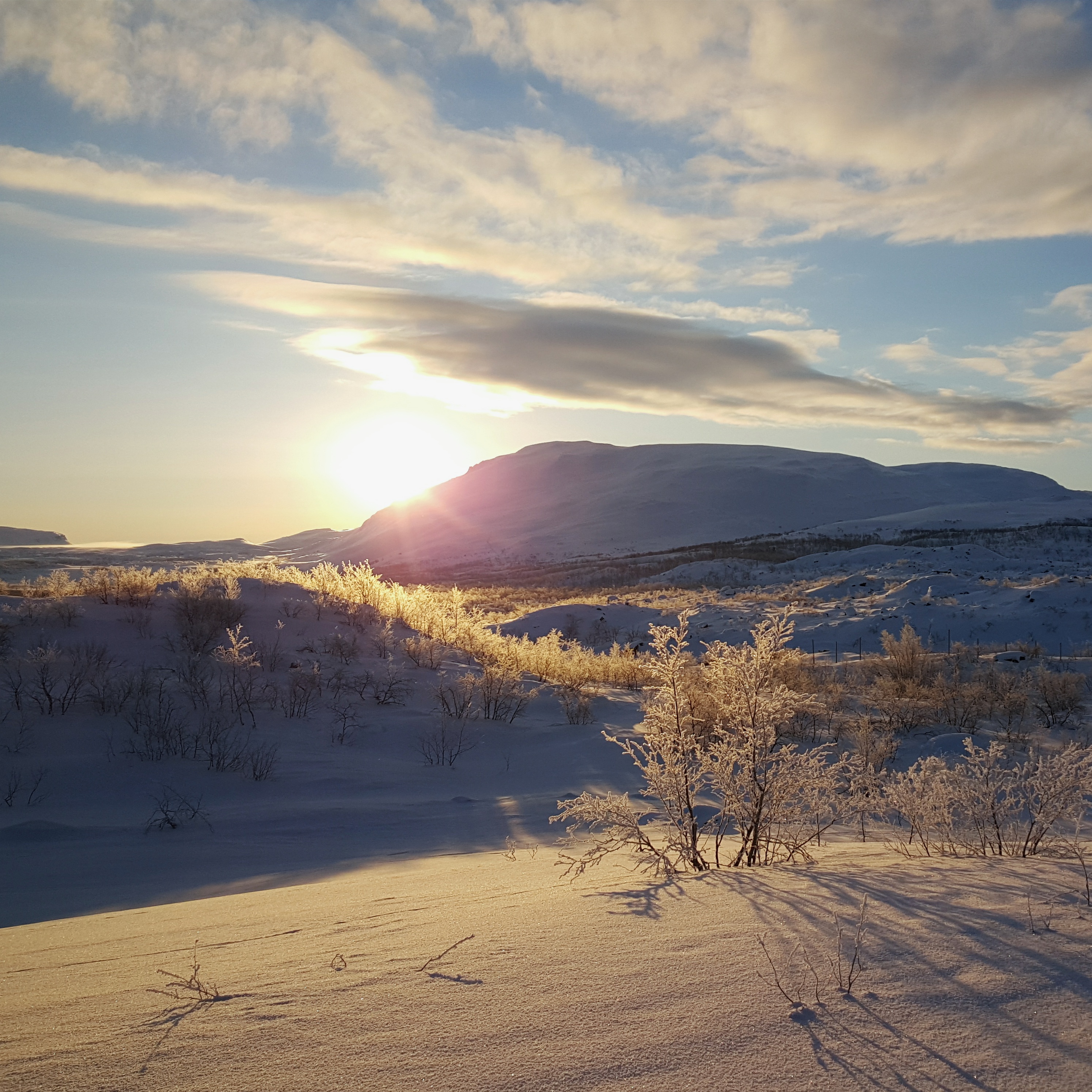 Sunrise-Lappland