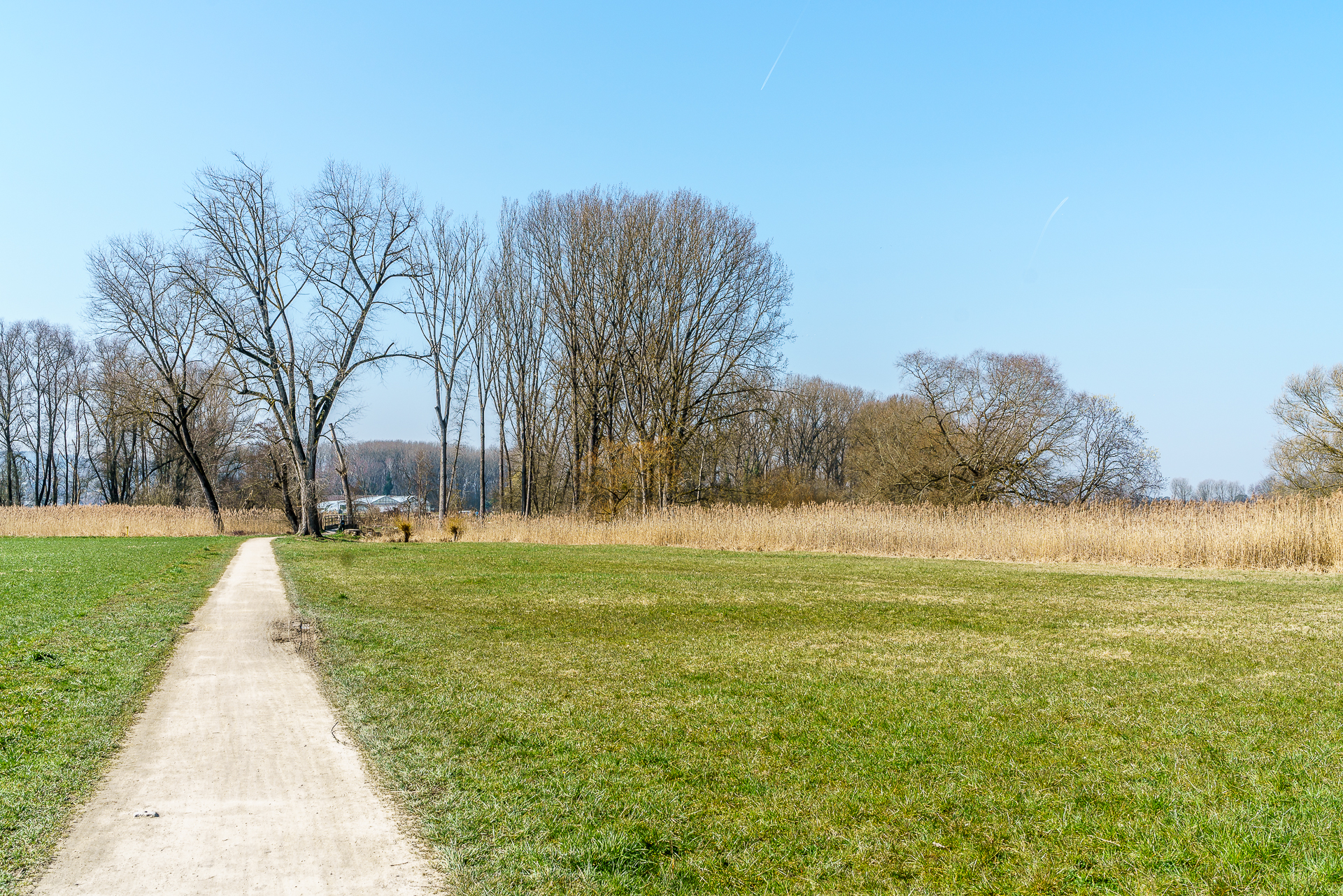 Via-Rhenana-Kreuzlingen-Steckborn