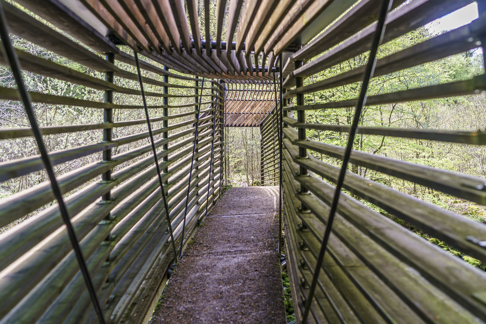 Areuse-Holzbruecke-Wanderweg