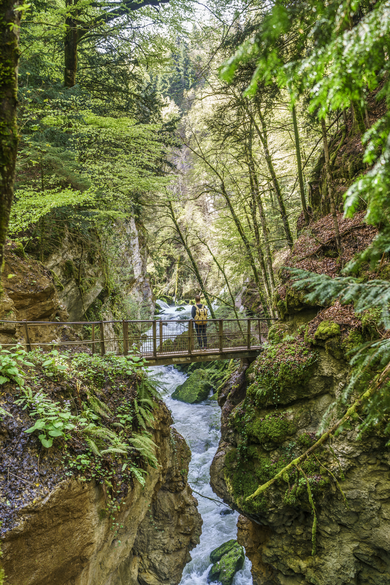Areuse-Schlucht-Boudry-1