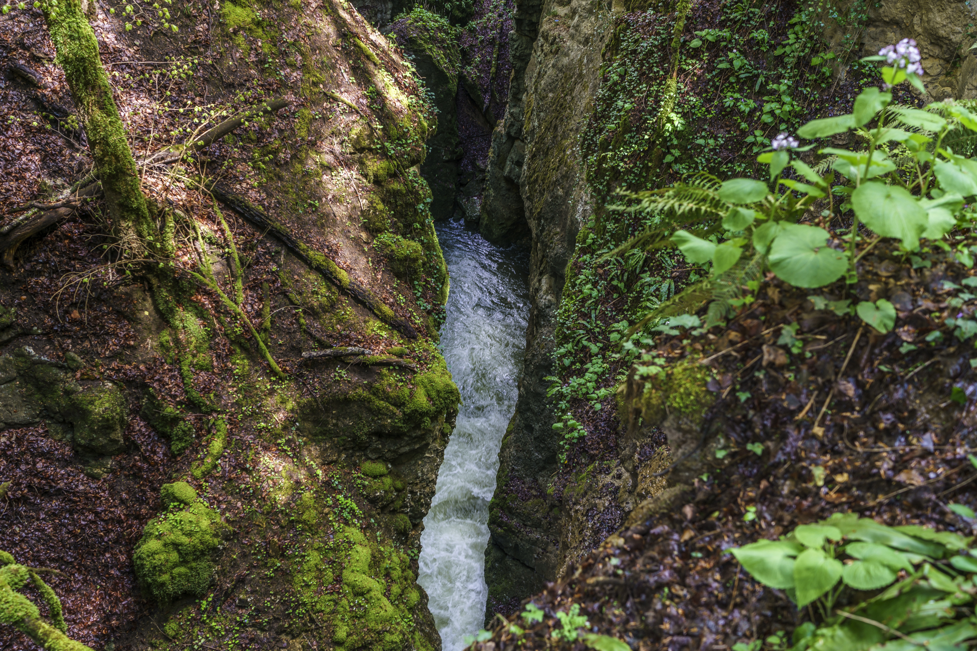Areuse-Schlucht-Boudry-2