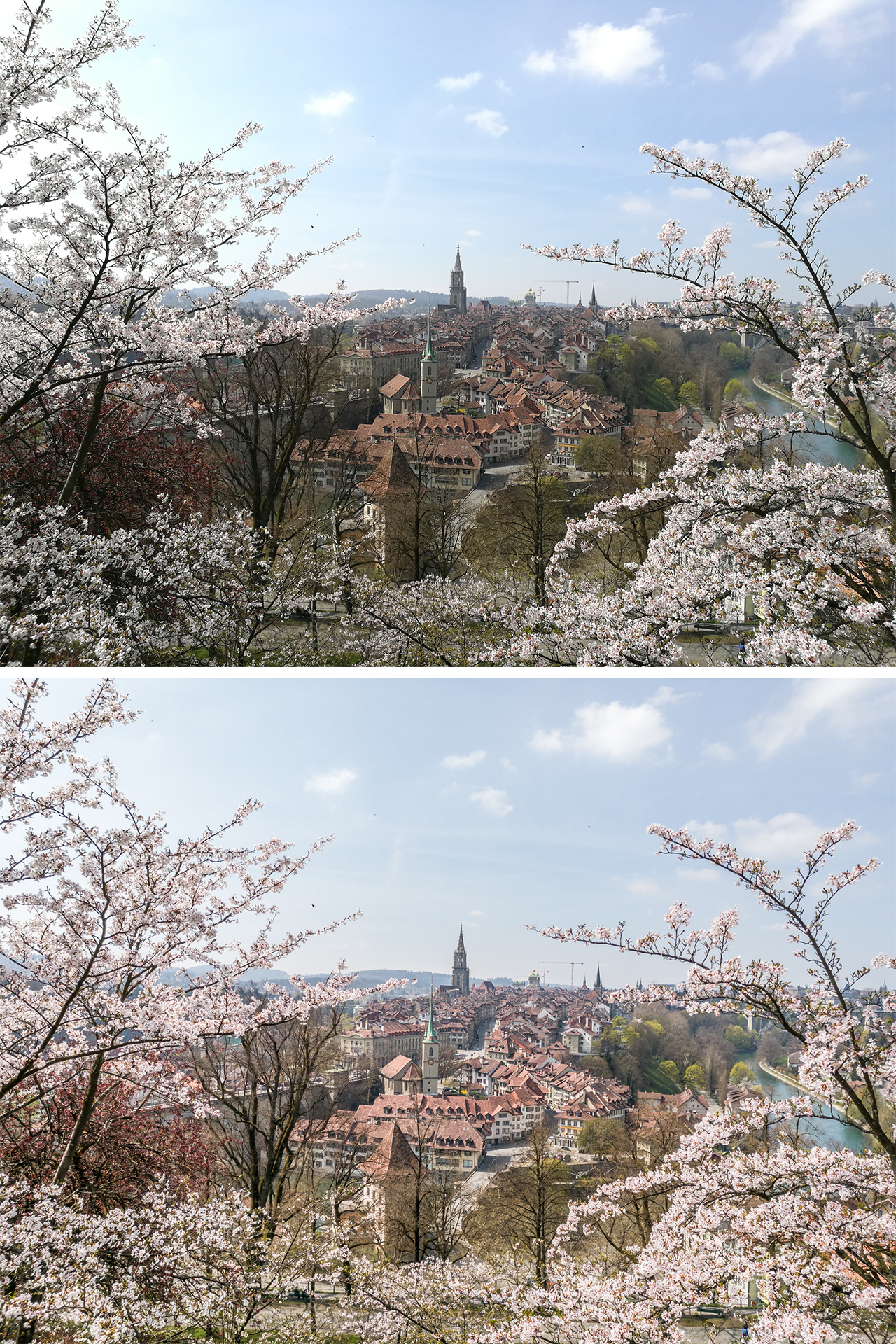 Huawei-p9-Testbild-Bern-Rosengarten-vergleich