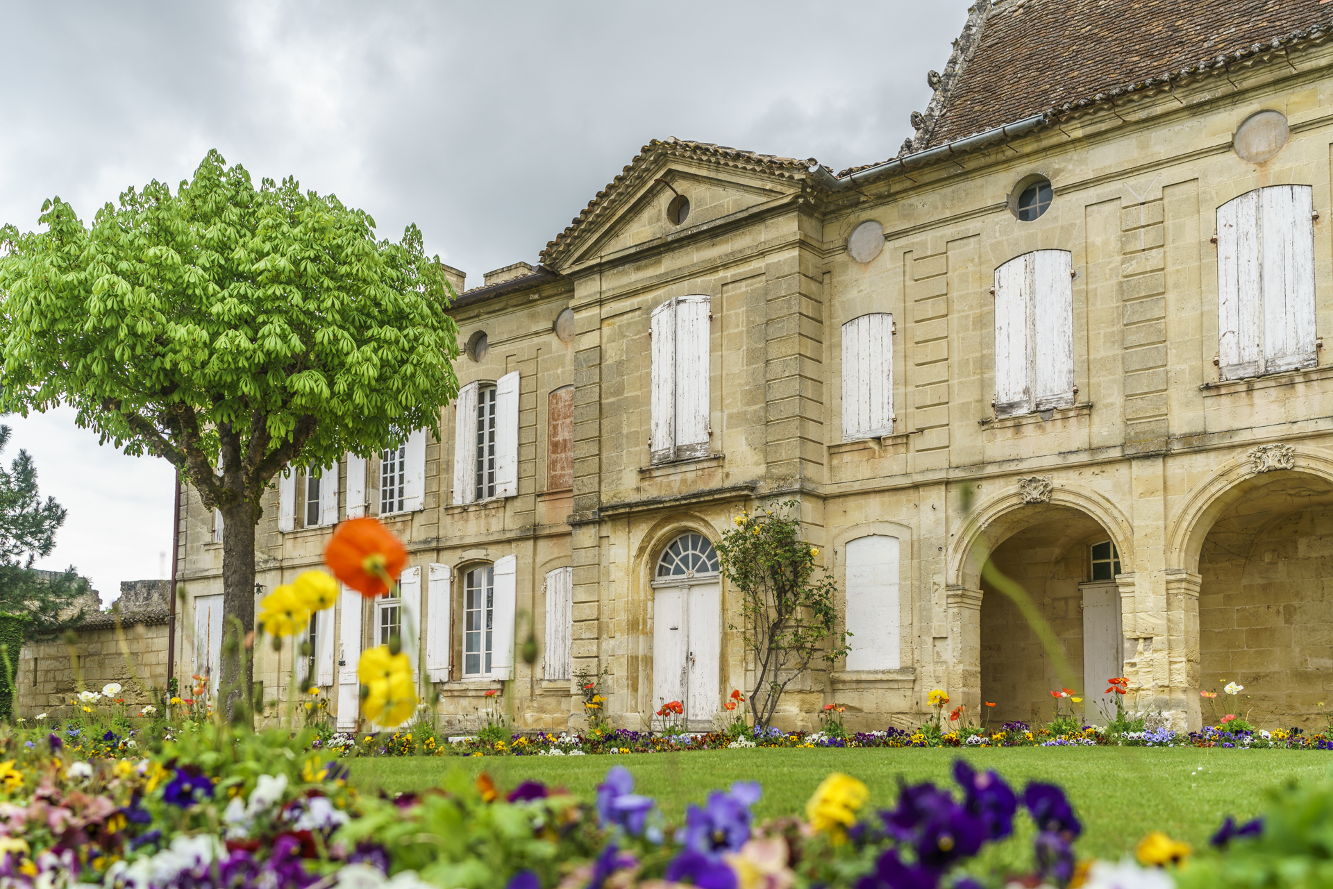 Saint-Emilion-Weintour-2