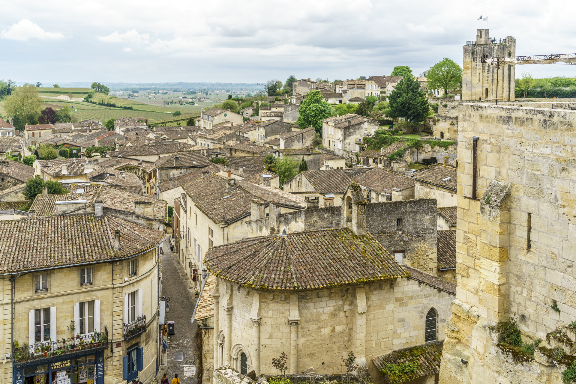 Saint-Emilion-Weintour-3