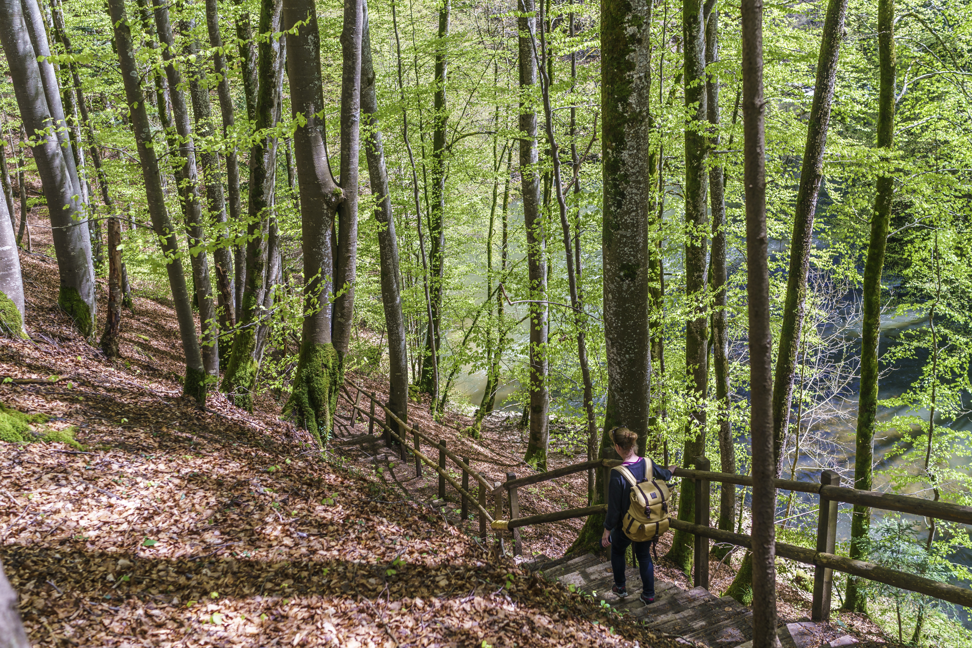 Wanderung-Areuse-Schlucht