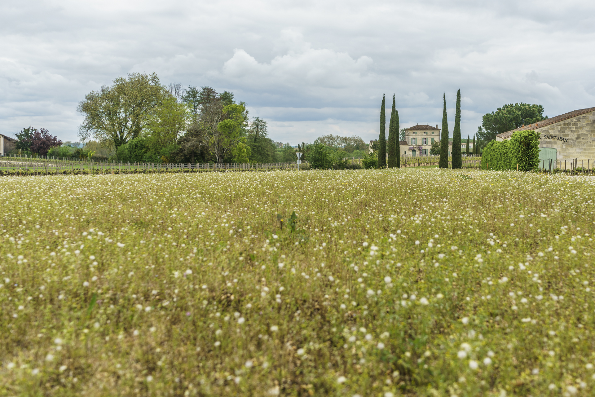 historic-vineyard-landscape-saint-Emilion