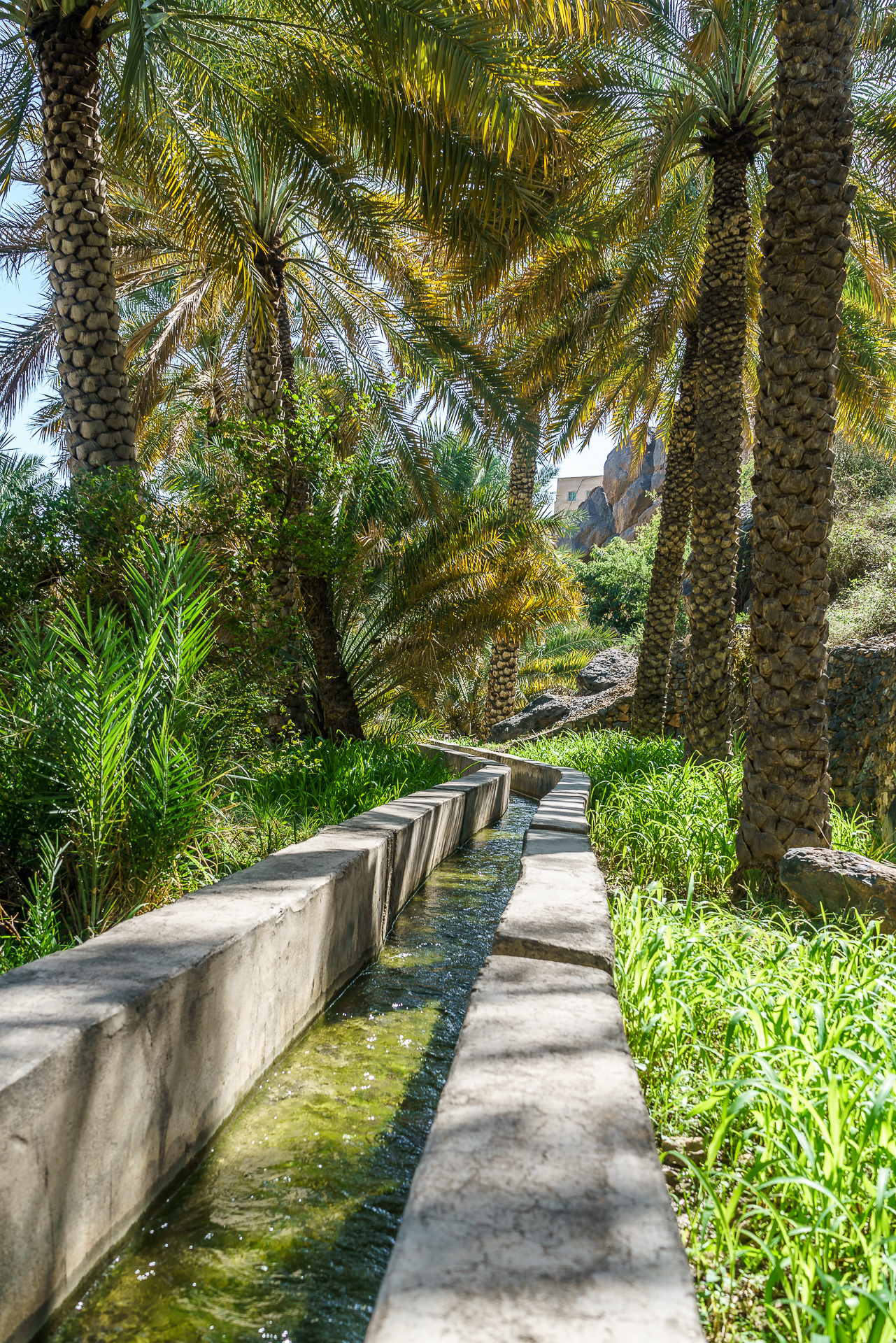 misfat-al-abriyeen-falaj