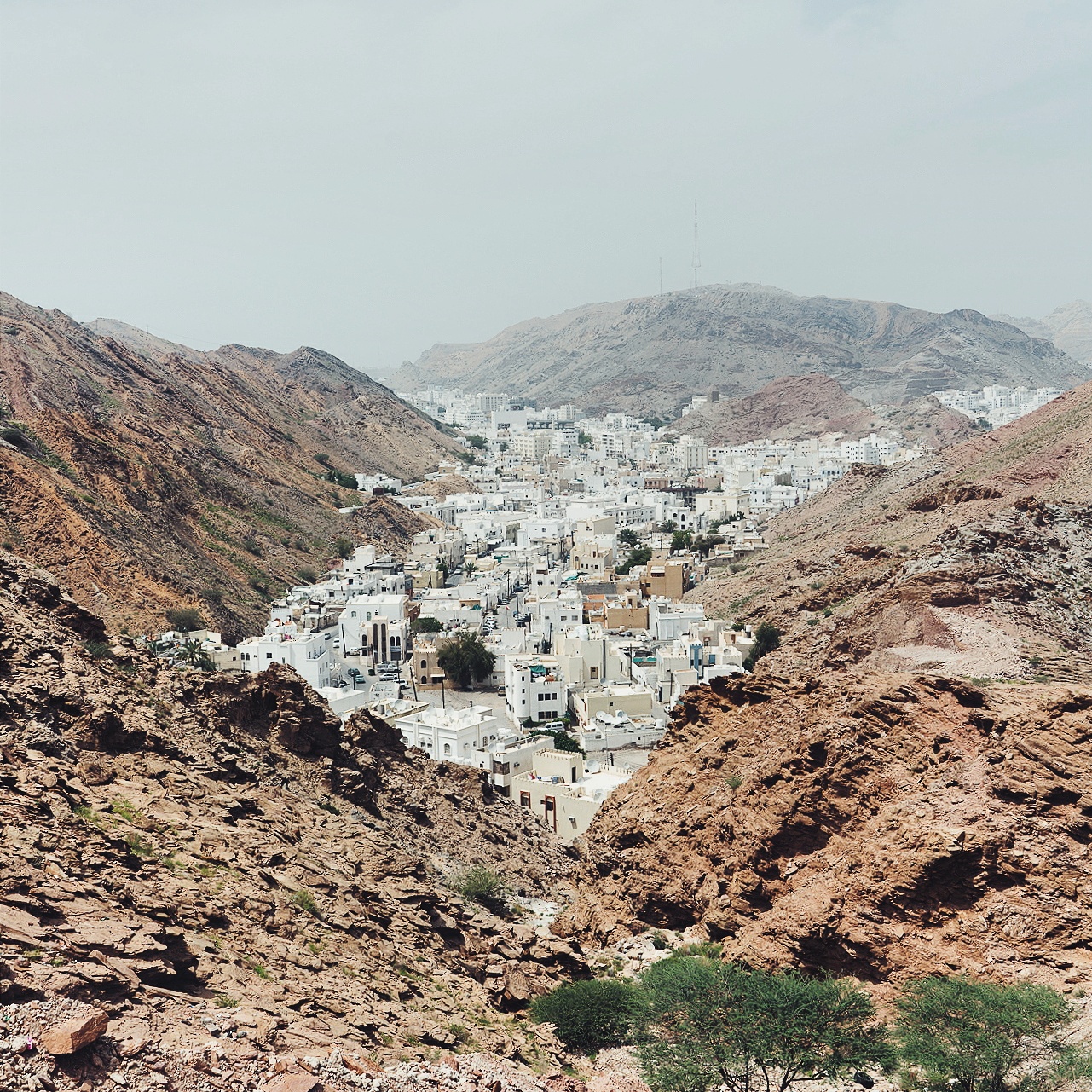 muscat-ruwi
