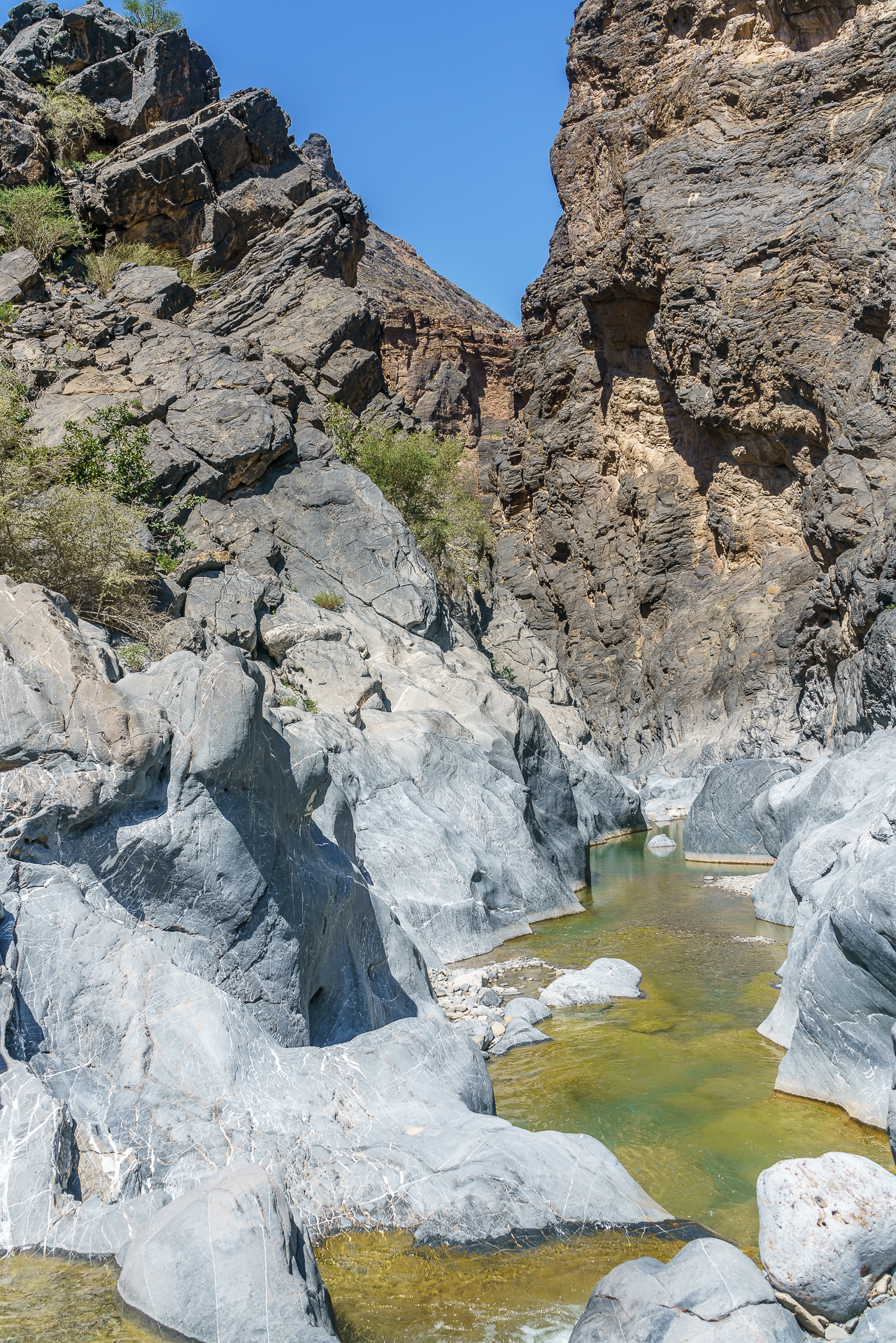 snake-gorge-wadi-bani-awf