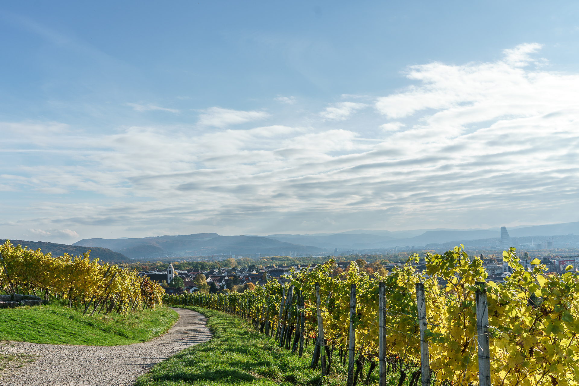 Blick-auf-Riehen