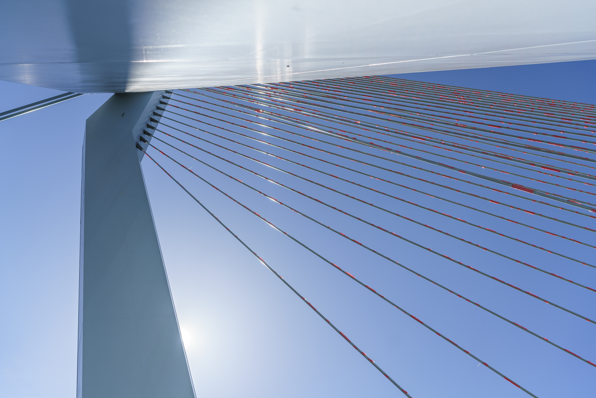 Erasmusbrug