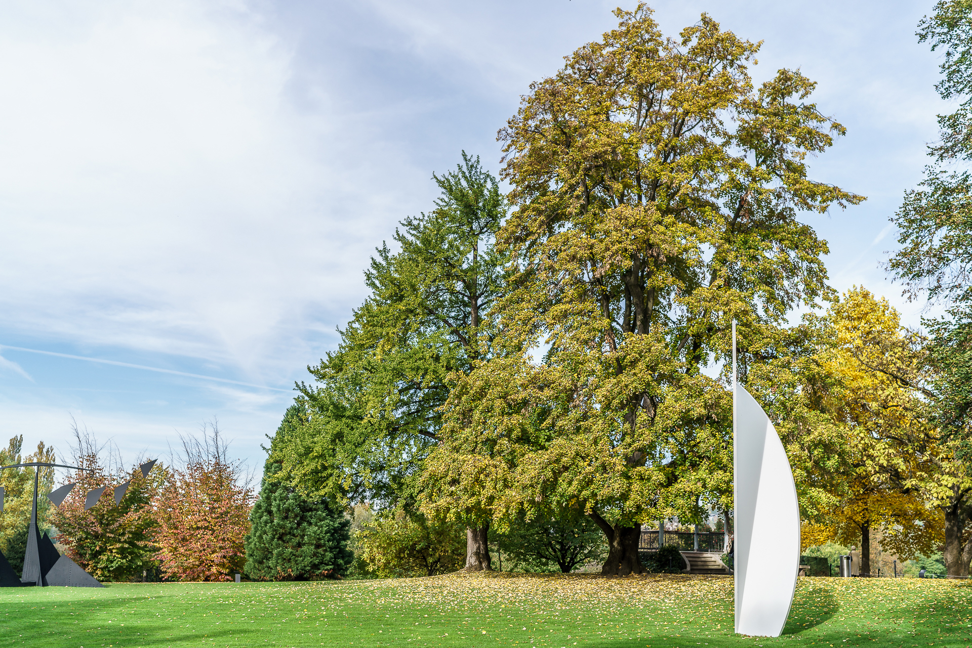 Fondation Beyeler Garten