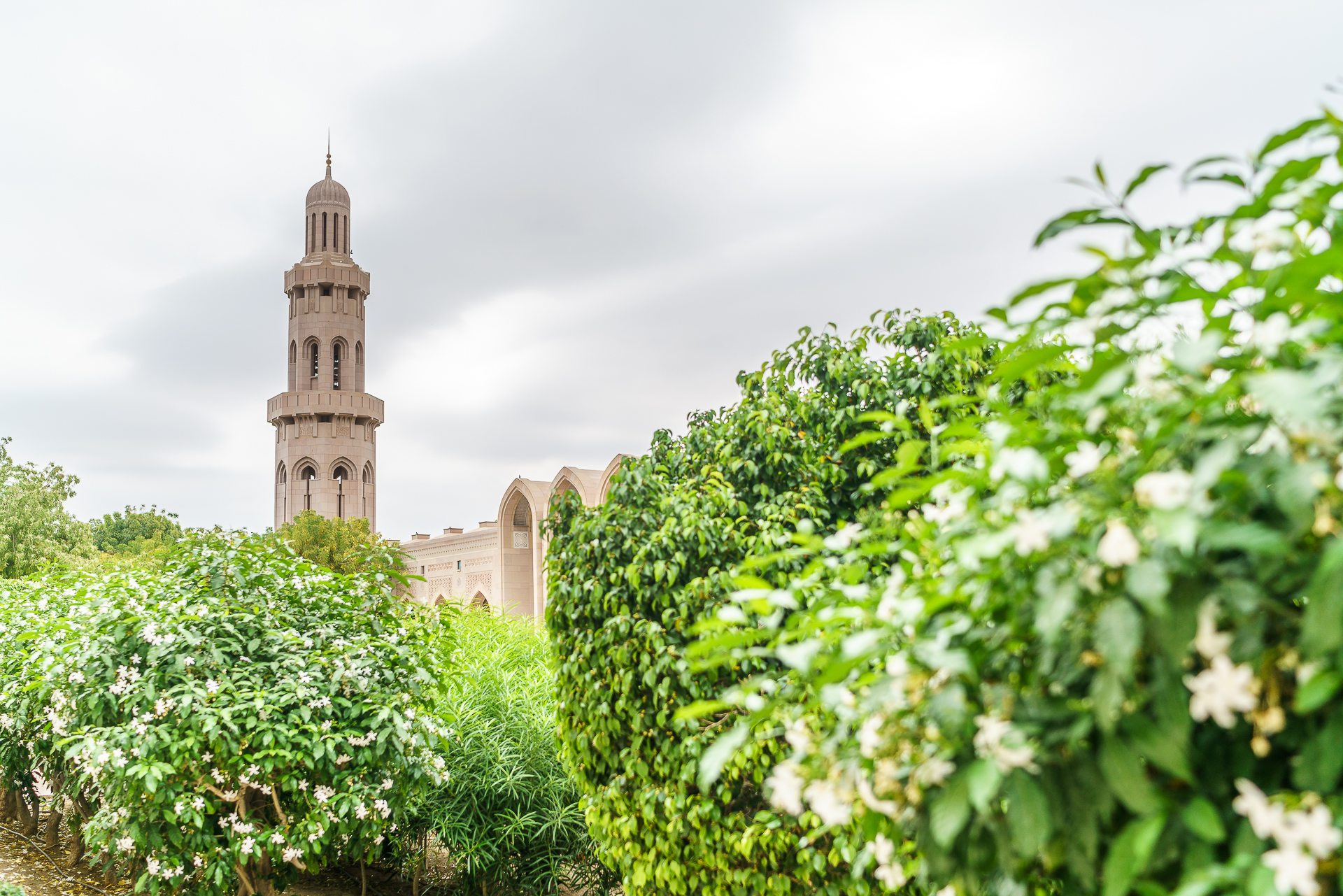Grosse-Sultan-Qabus-Moschee-Muscat