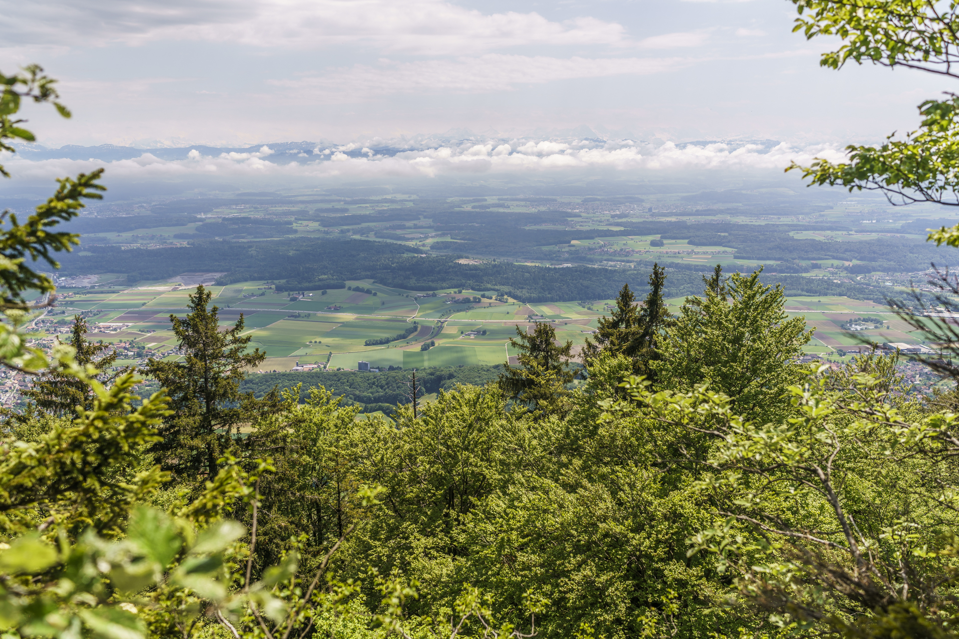 Hellchoepfli-Aussicht-Mittelland