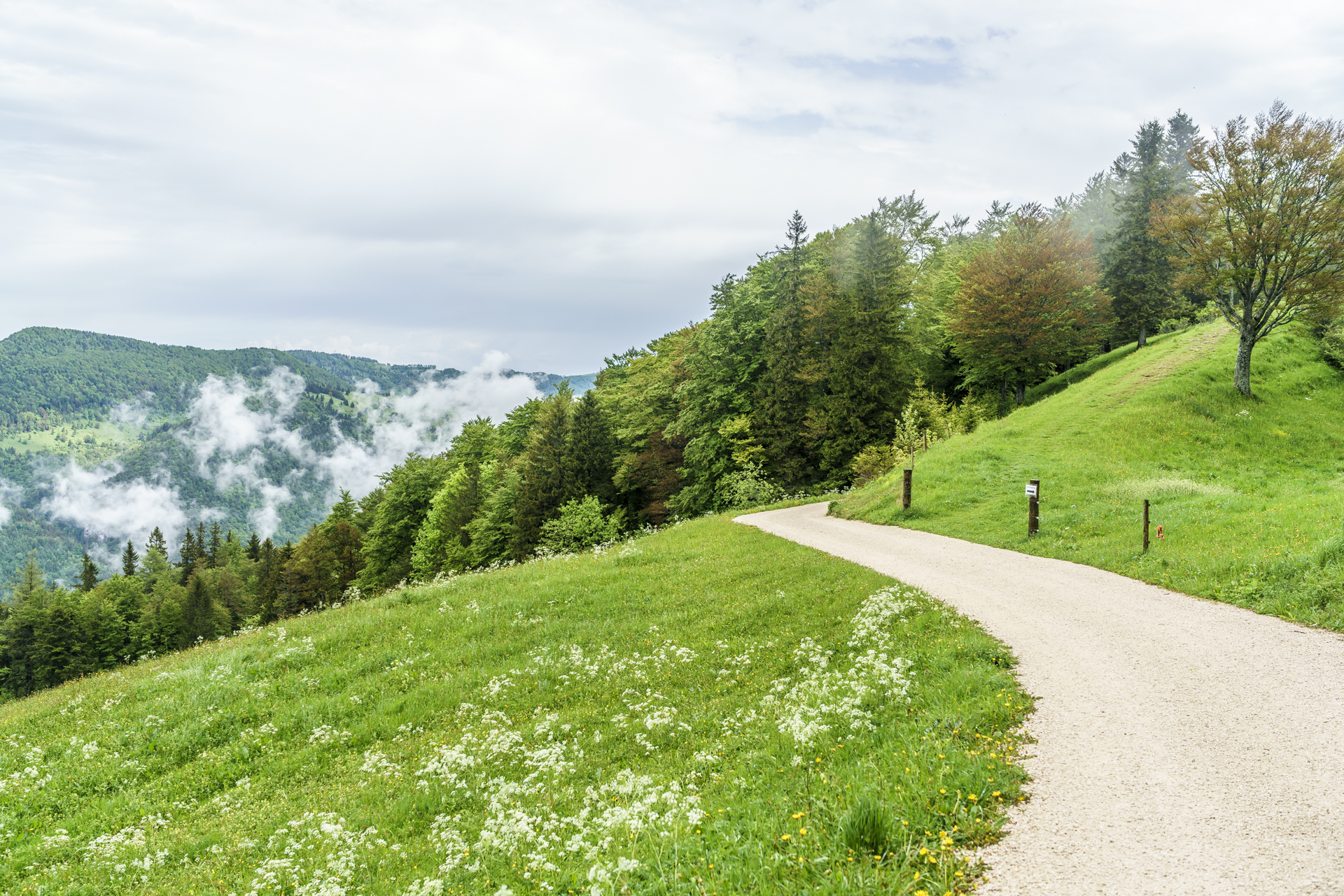 Jura-Hoehenweg-Naturpark-Thal