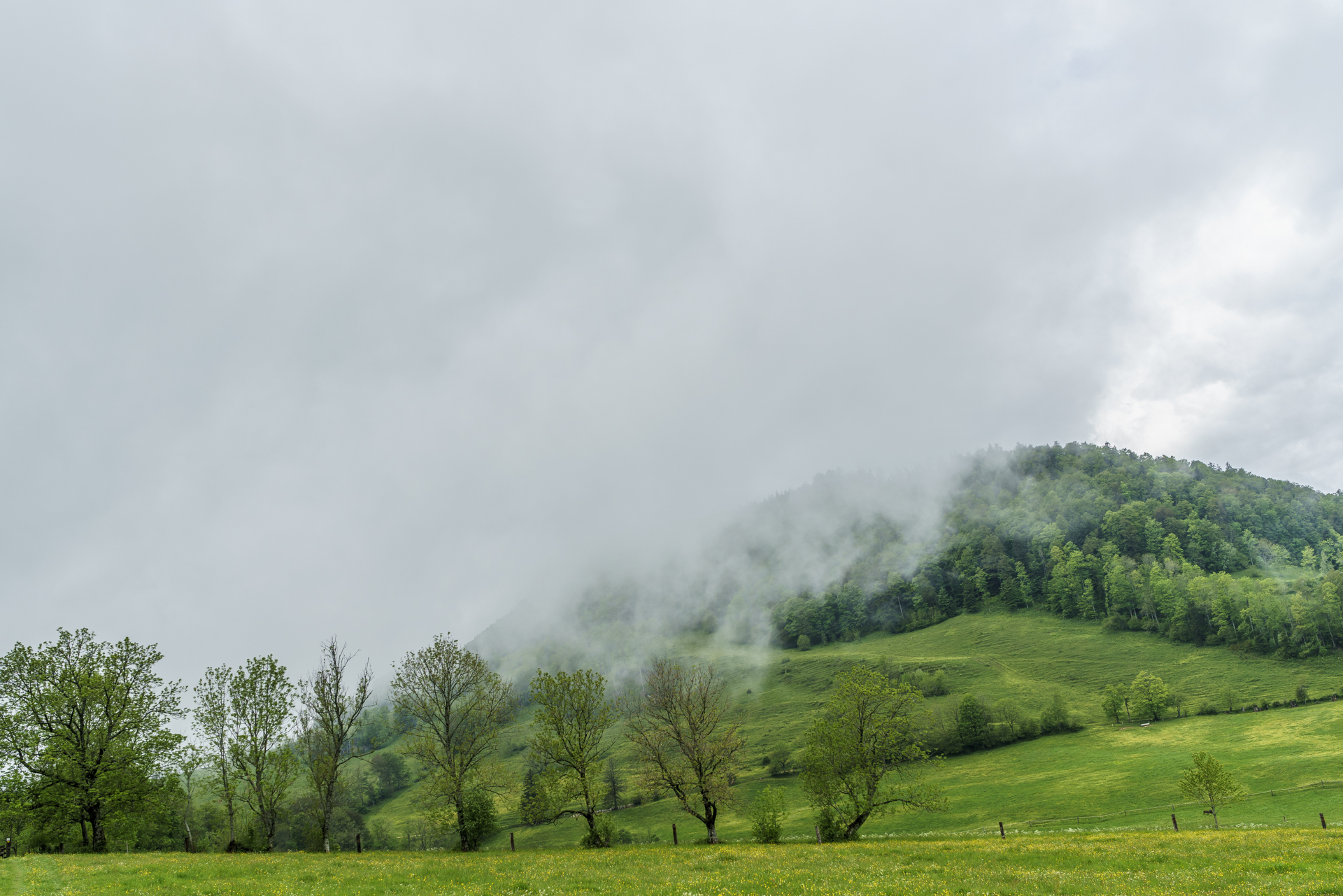 Jura-Solothurn-Naturpark-Thal