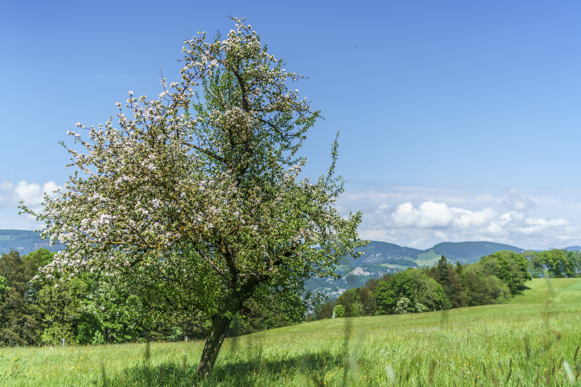 Schwengimatt-Balsthal